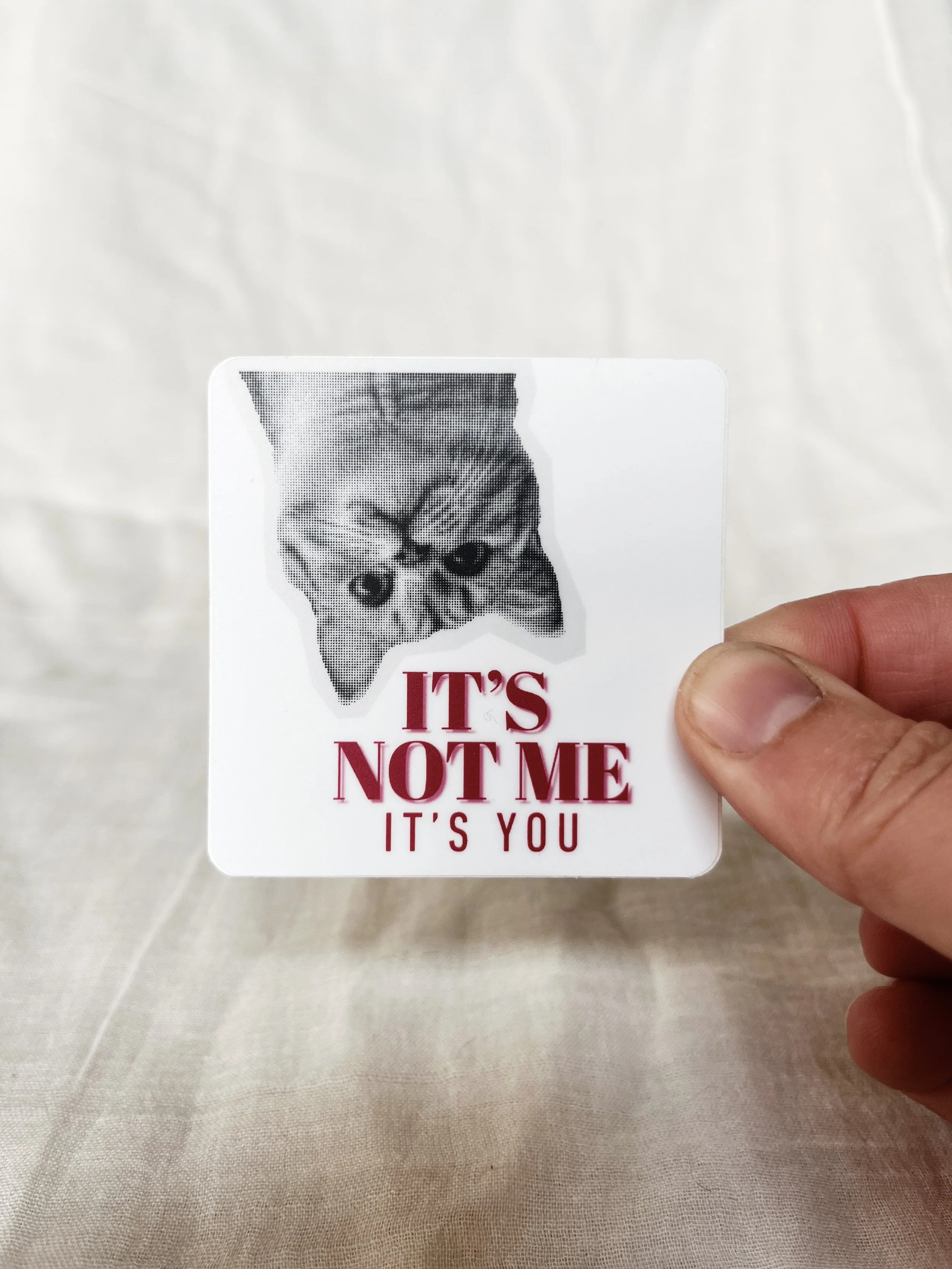 It's Not Me, It's You