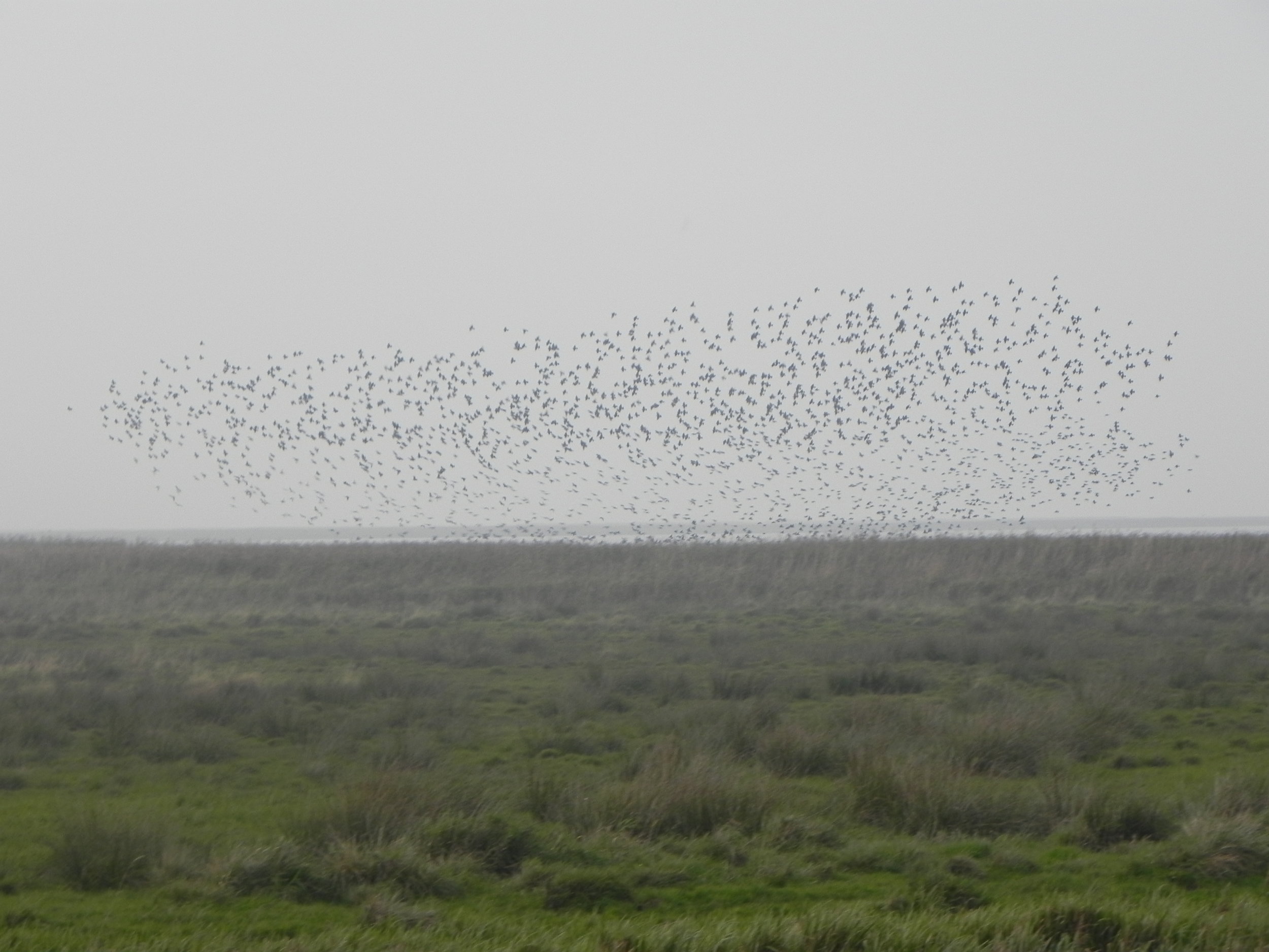 DSCN1238.JPG