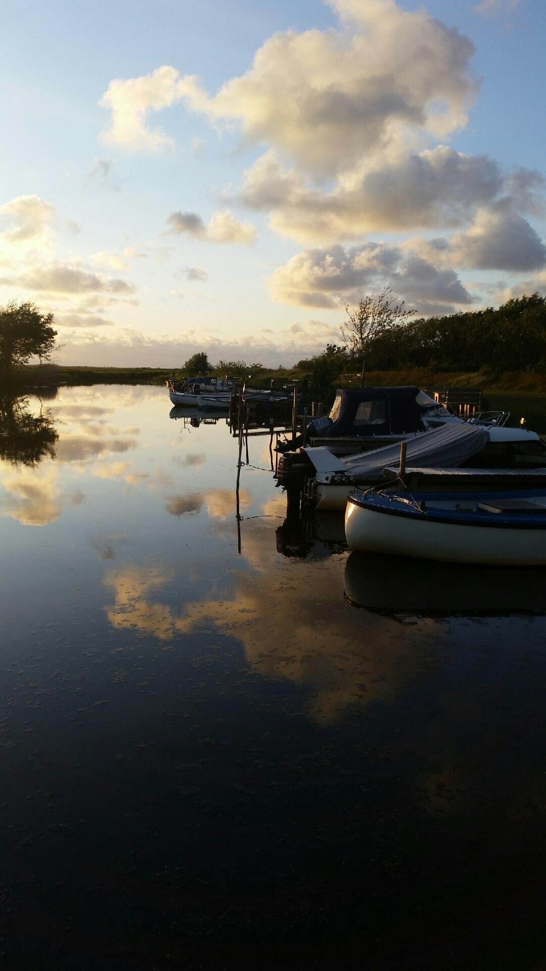 aften ved havnen.jpg