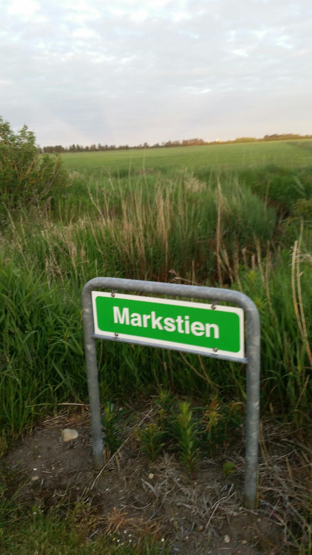 markstien.jpg