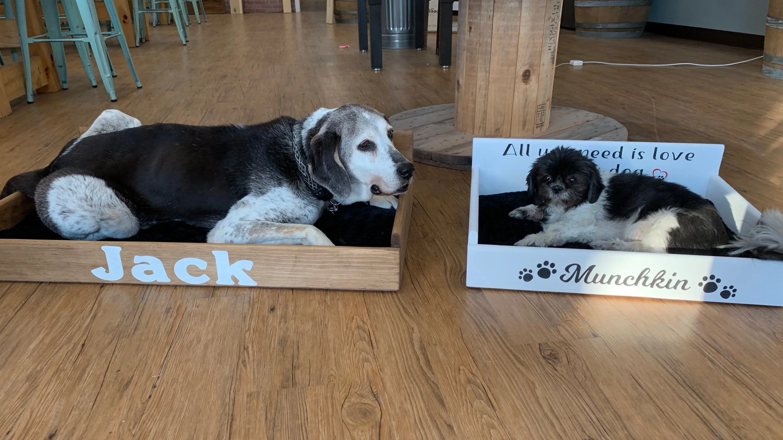 NEW - DOG BEDS come in 2 sizes