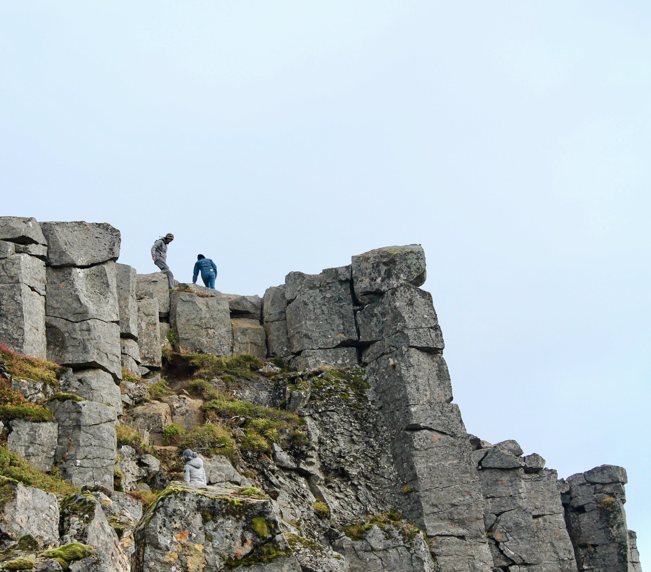 Trying to climb the Gerduberg basalt cliffs in West Iceland