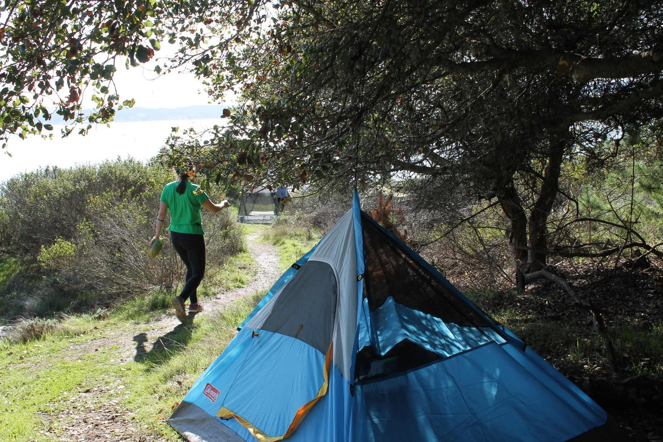 Tying my tent to a tree on Angel island.jpeg