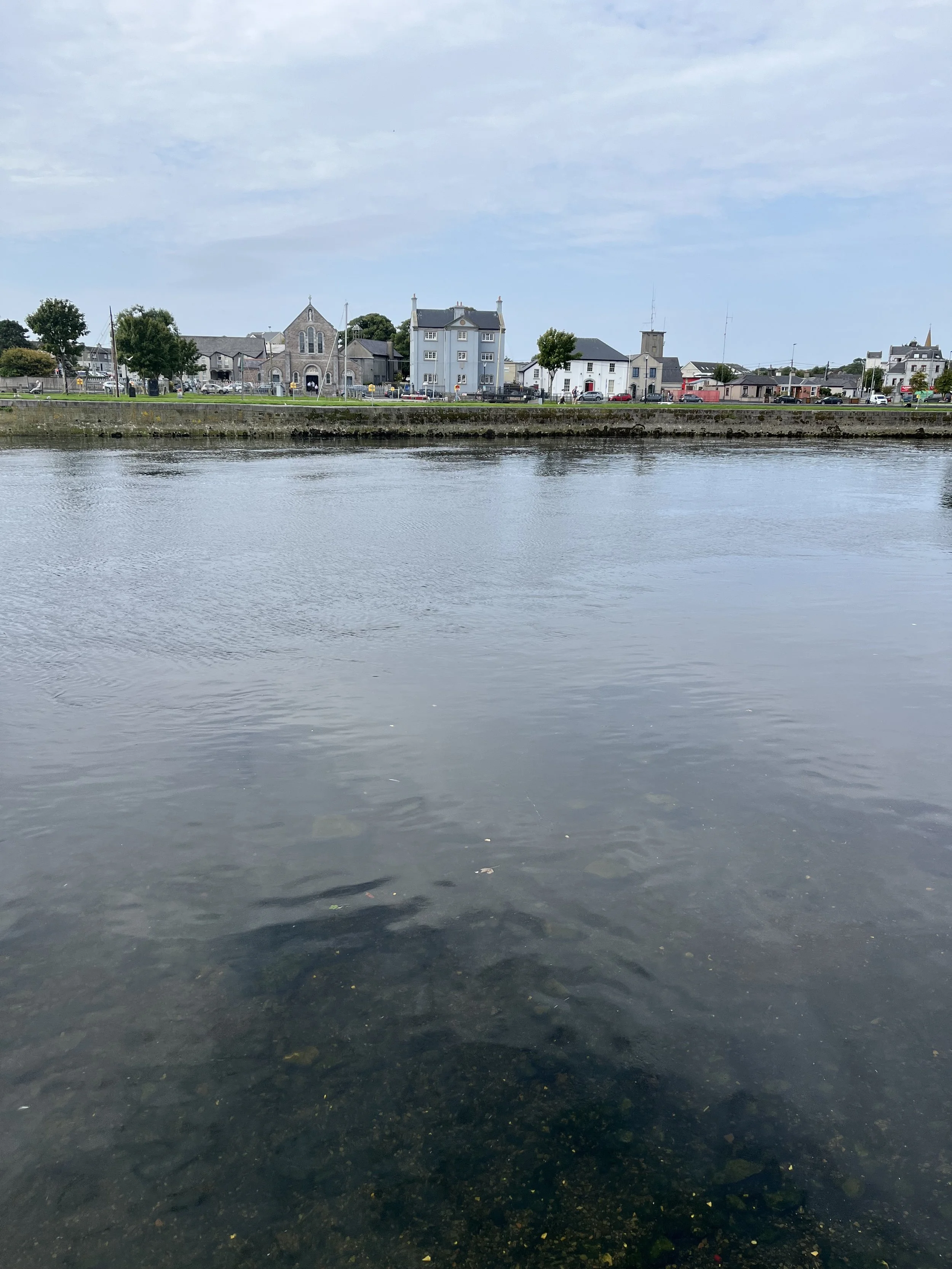 IMG_1023.jpeg