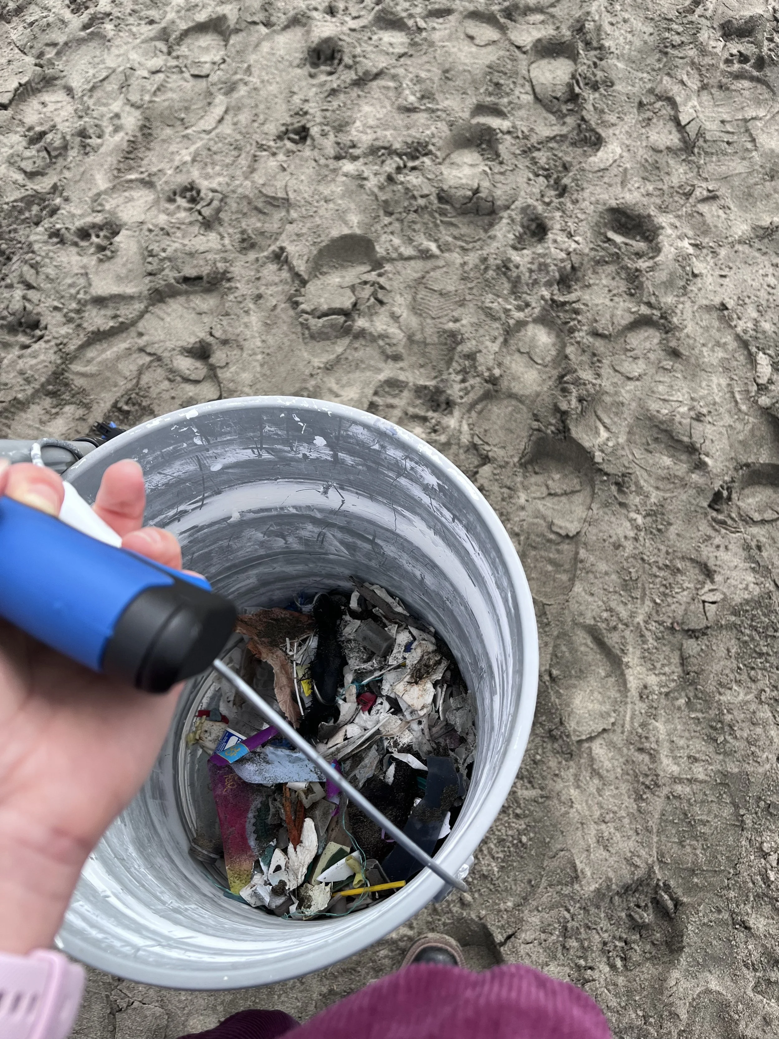 Beach Clean-Ups: Ocean Beach Clean-Up with Surfrider SF