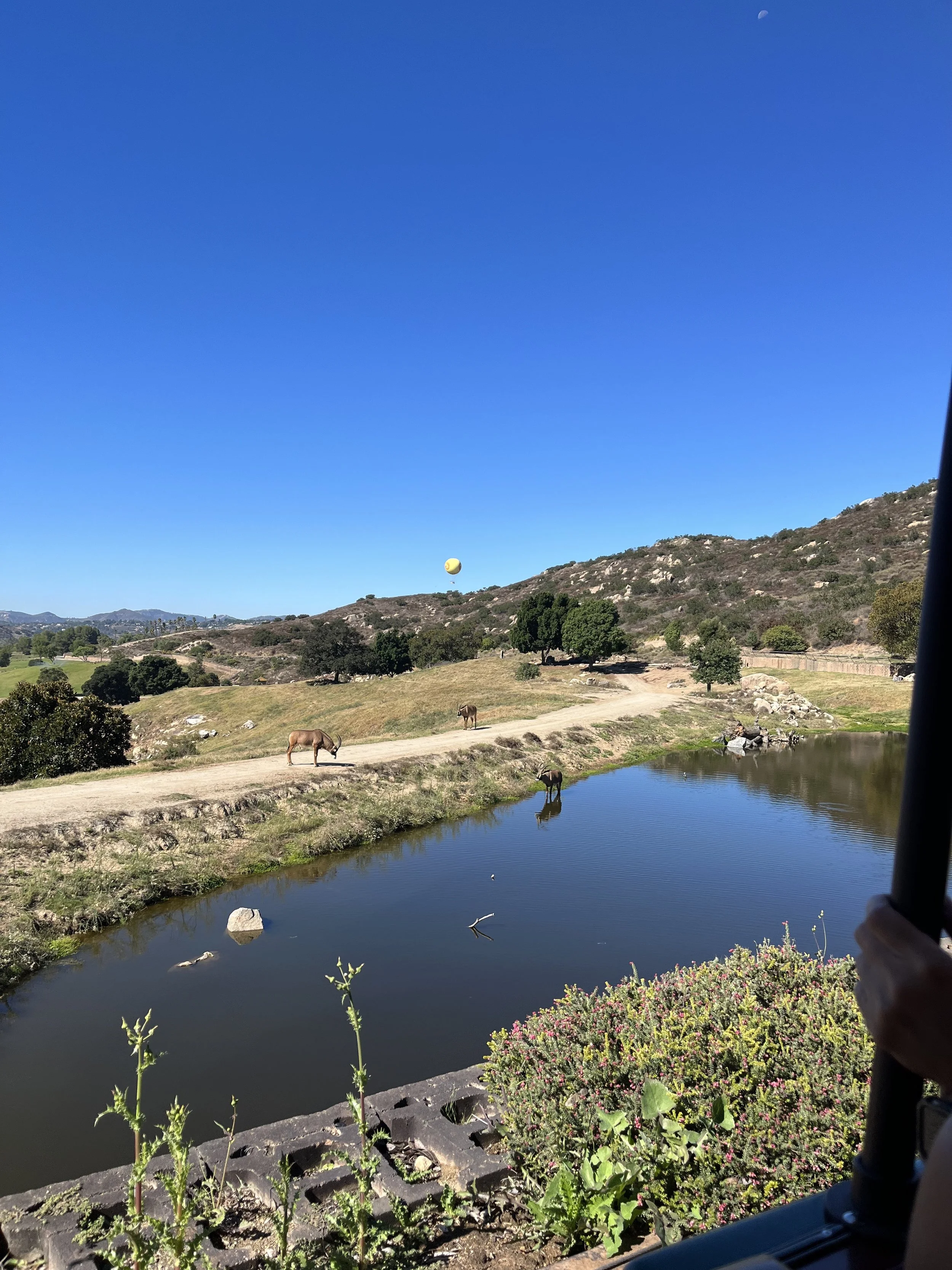 3 Reasons to Feel Hopeful in 2023