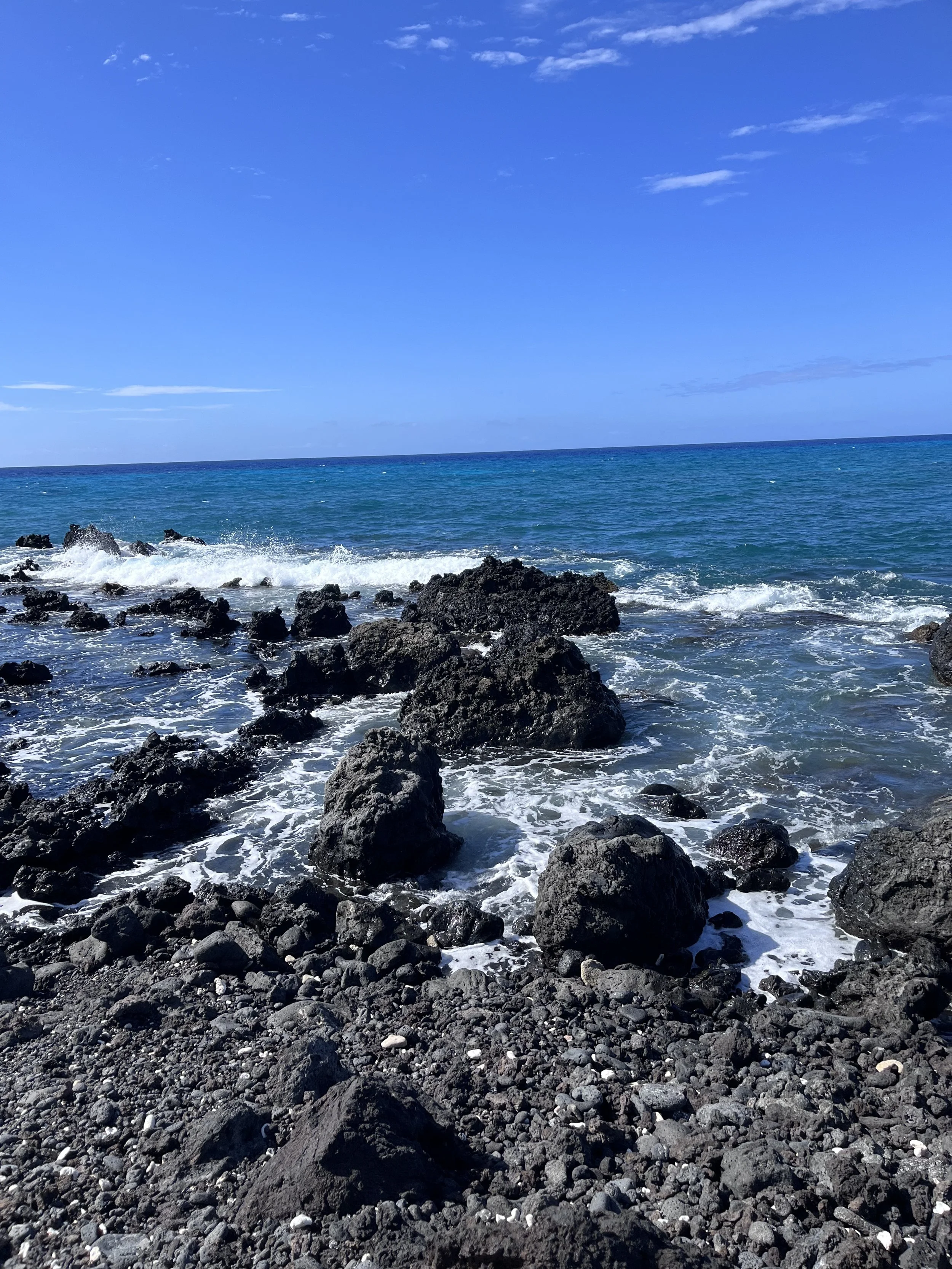 IMG_1810.jpeg