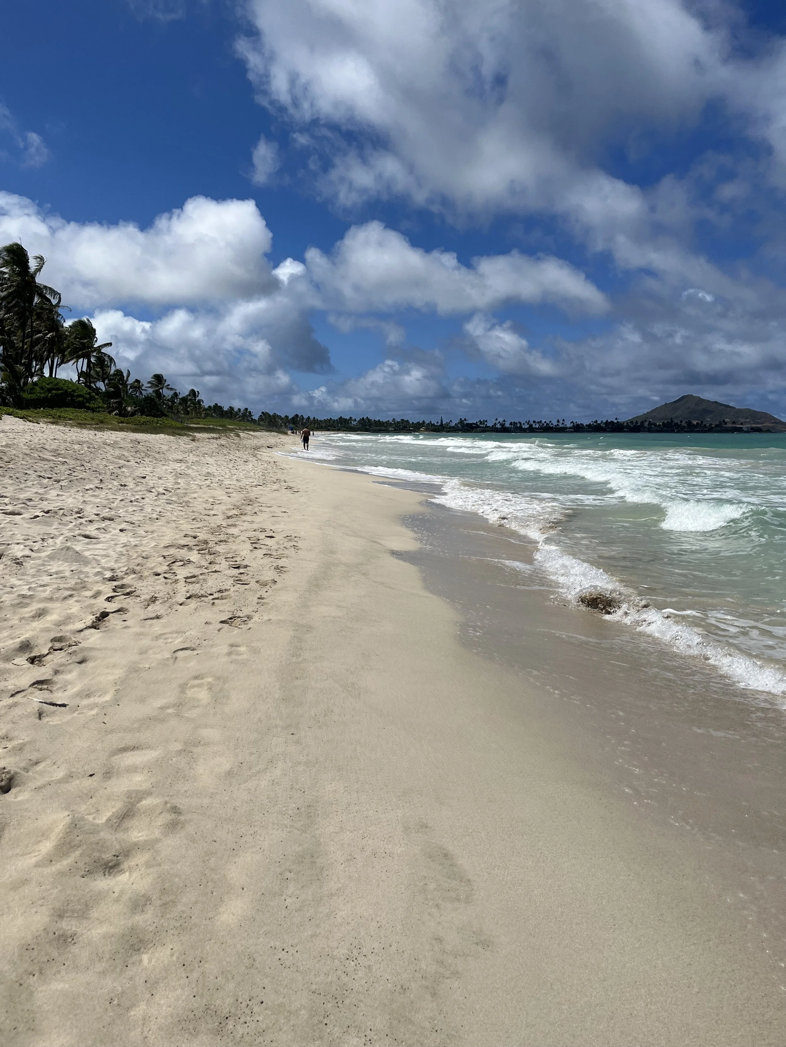 IMG_0297.jpeg