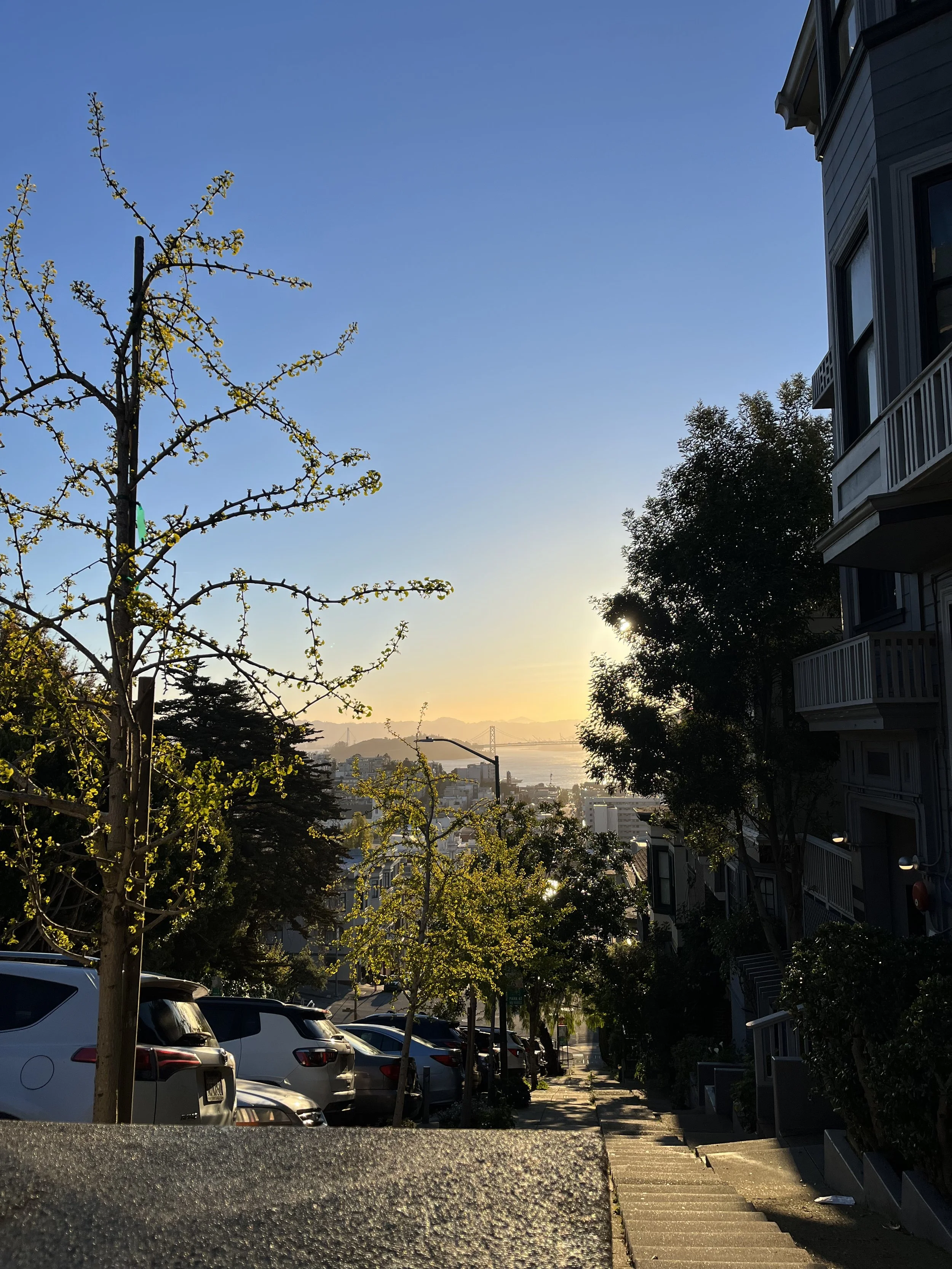 IMG_8852.jpeg
