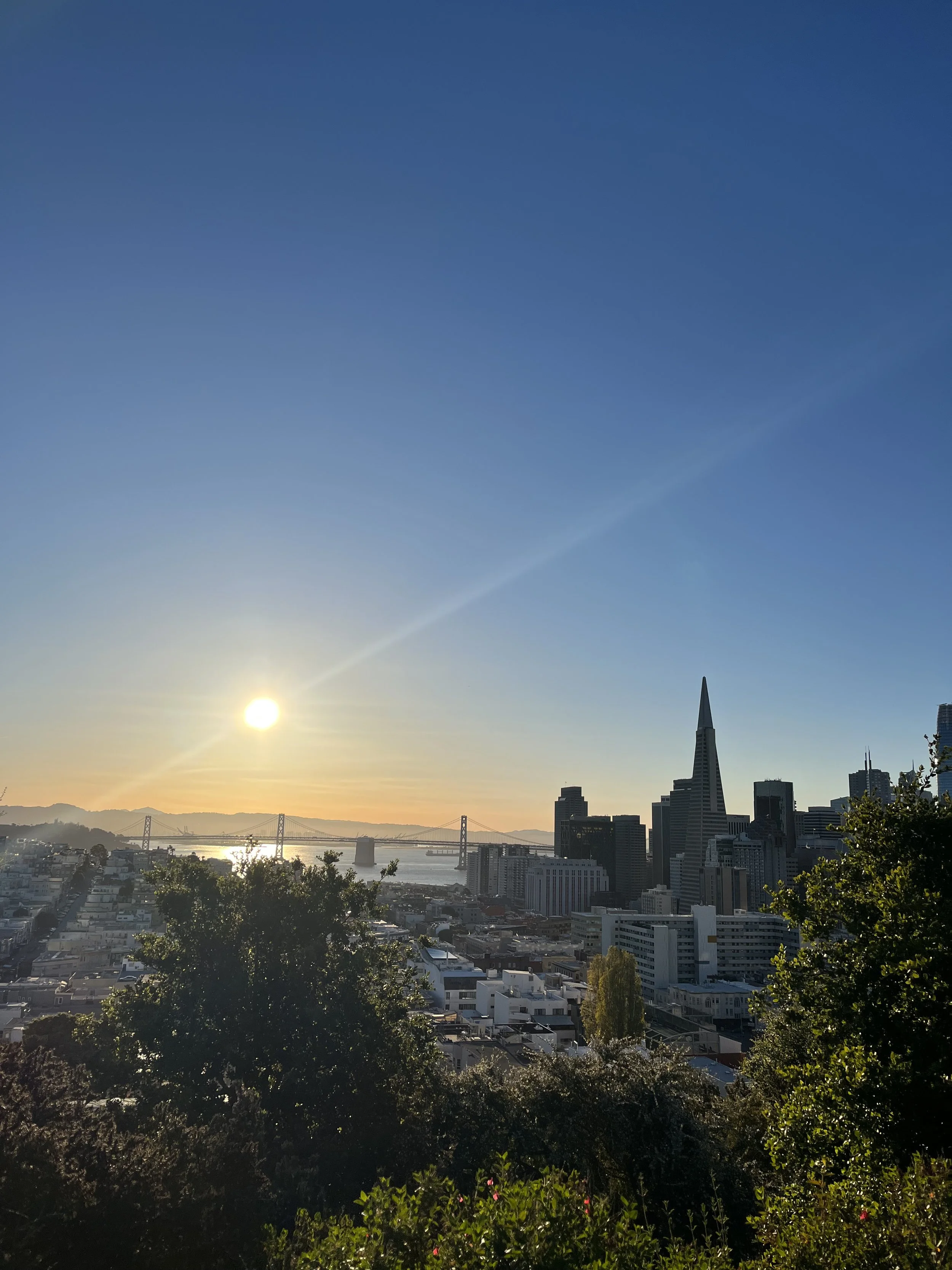 IMG_8859.jpeg