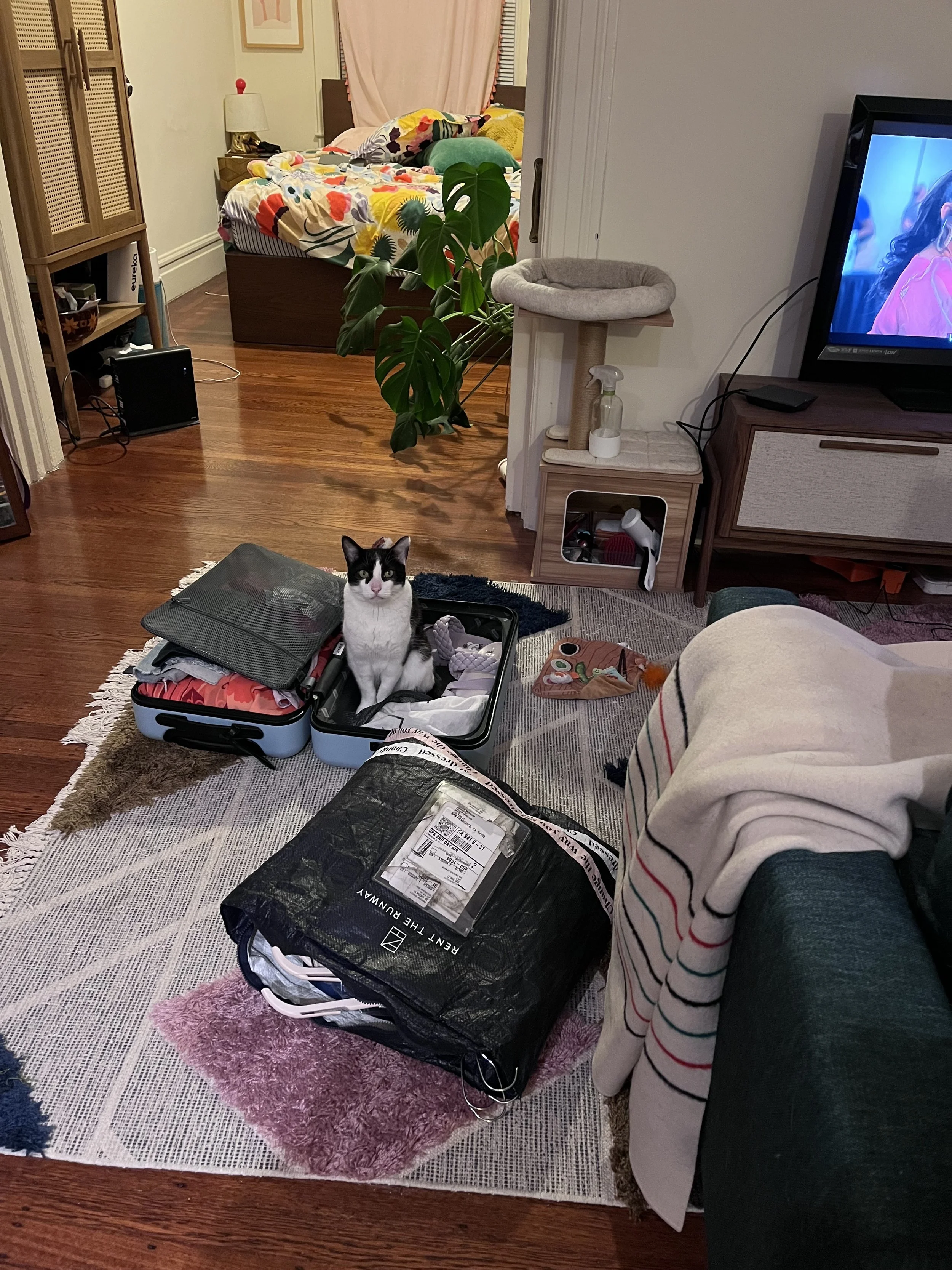 IMG_1792.jpeg