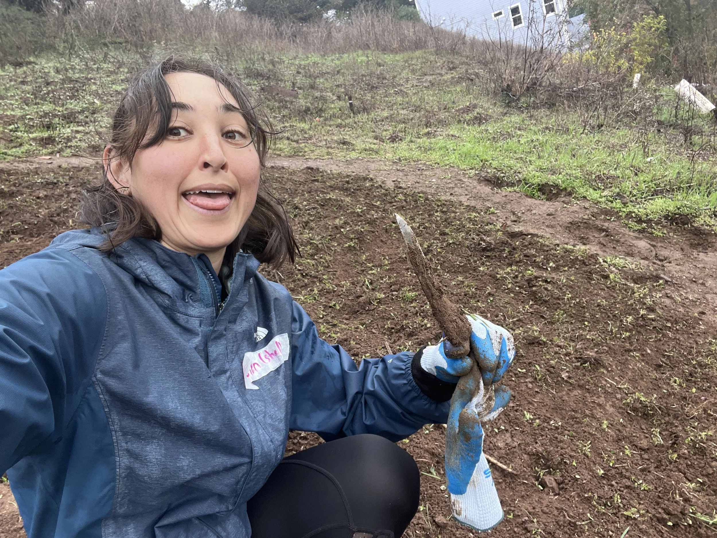 Volunteering to Replant Native Plants: AKA Native Plant Troll Babies