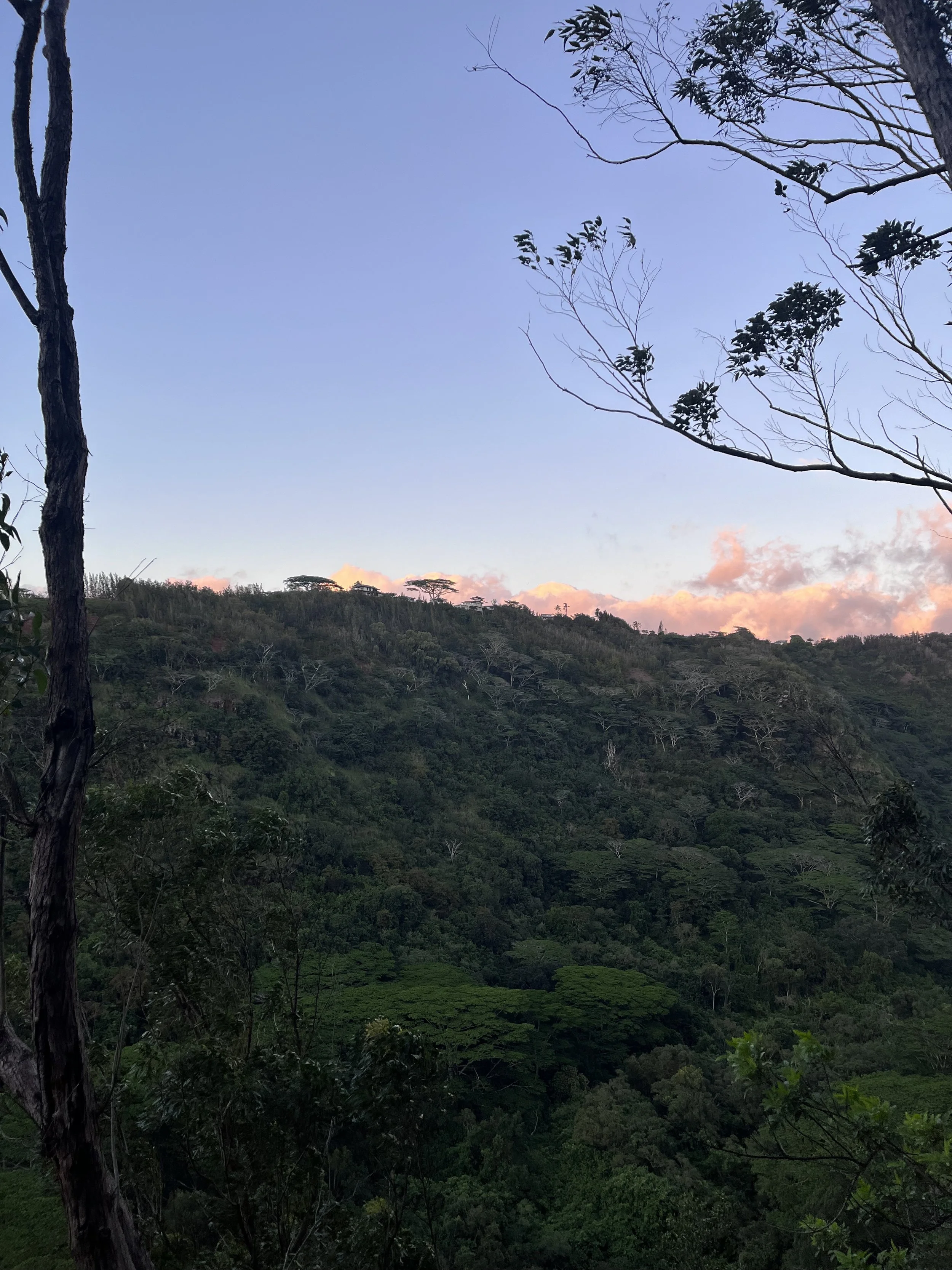 IMG_2828.jpeg