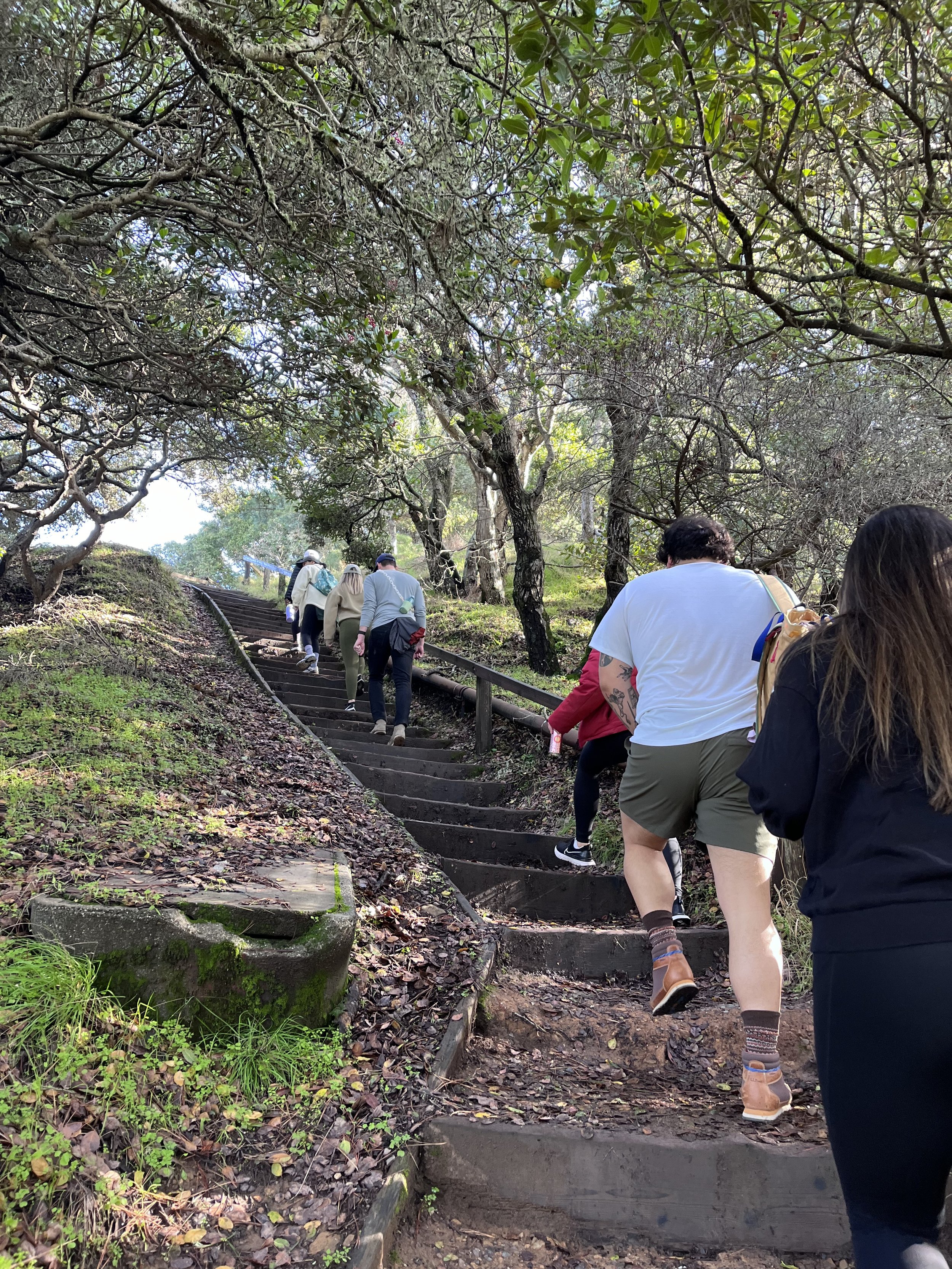 Hiking the North Ridge Stairs on Angel Island.jpeg