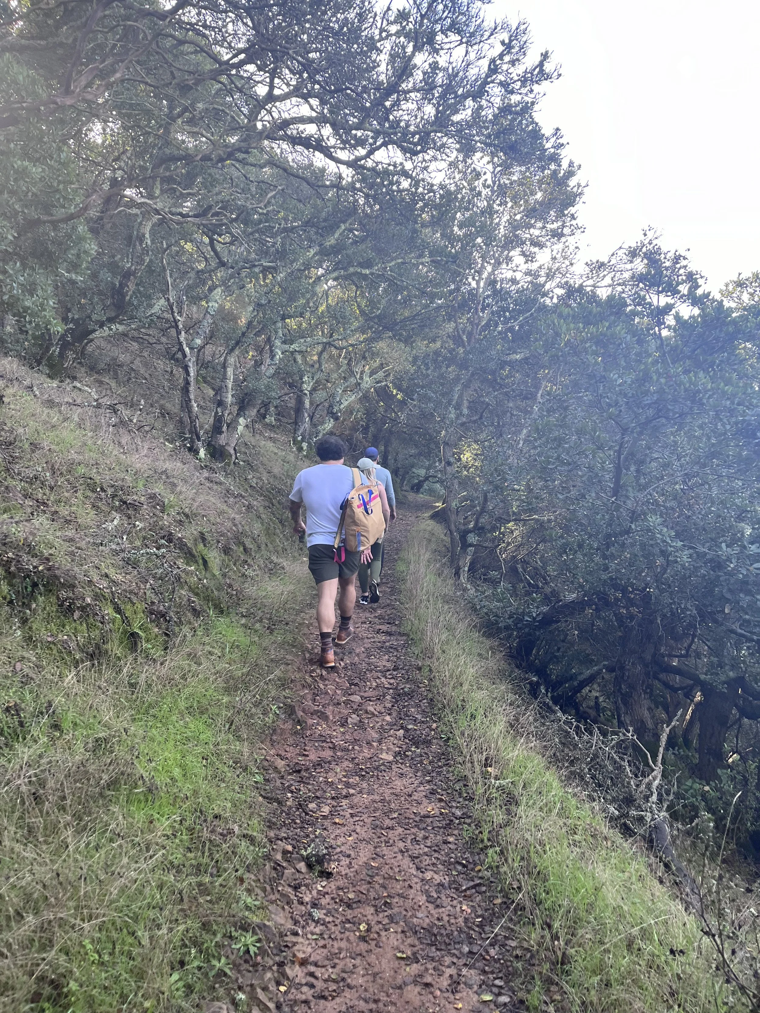 A Day Trip to Angel Island: The North Ridge Trail to Mount Livermore