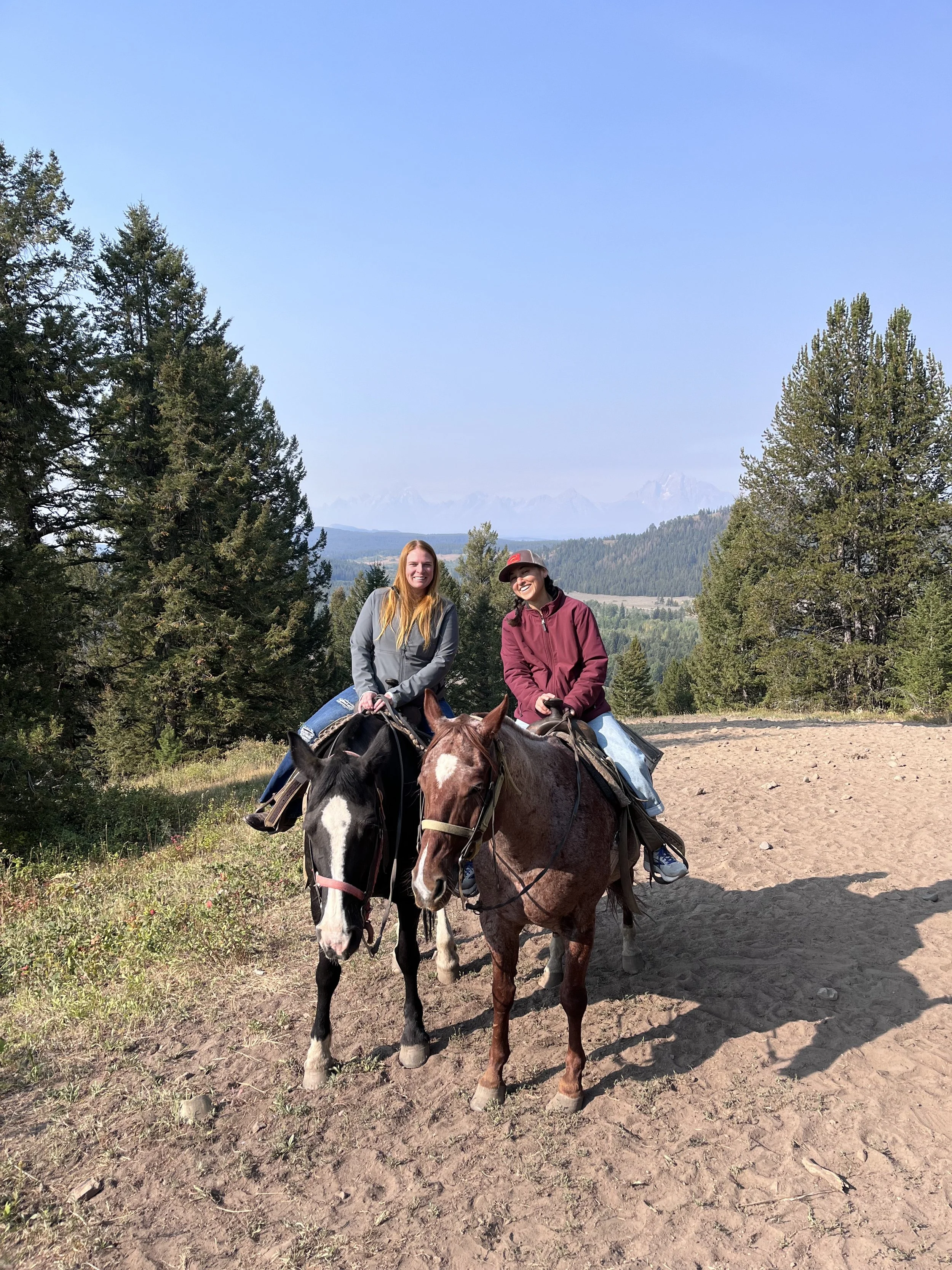 Horseback Riding in the Grand Teton National Park