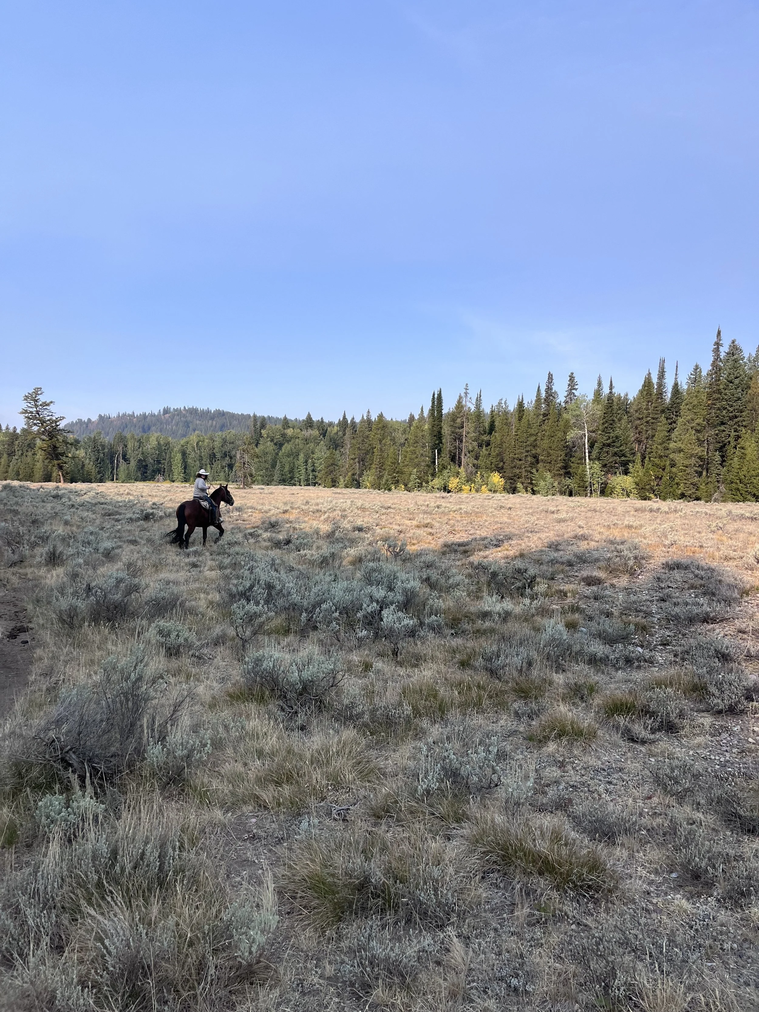 If You Love National Parks, Here's What You Can Do Today