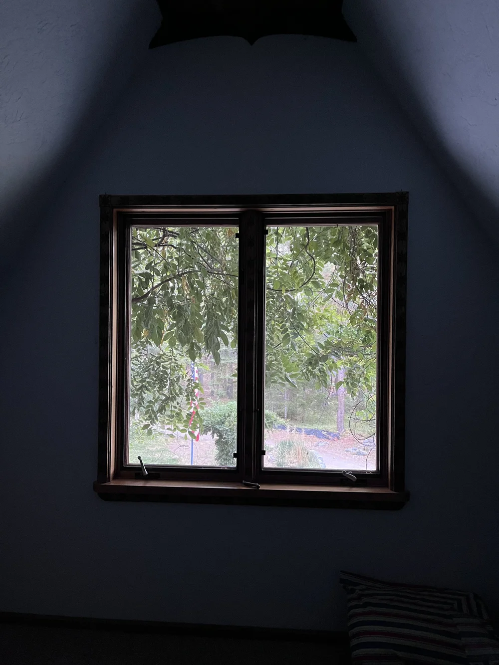 IMG_7077.jpeg