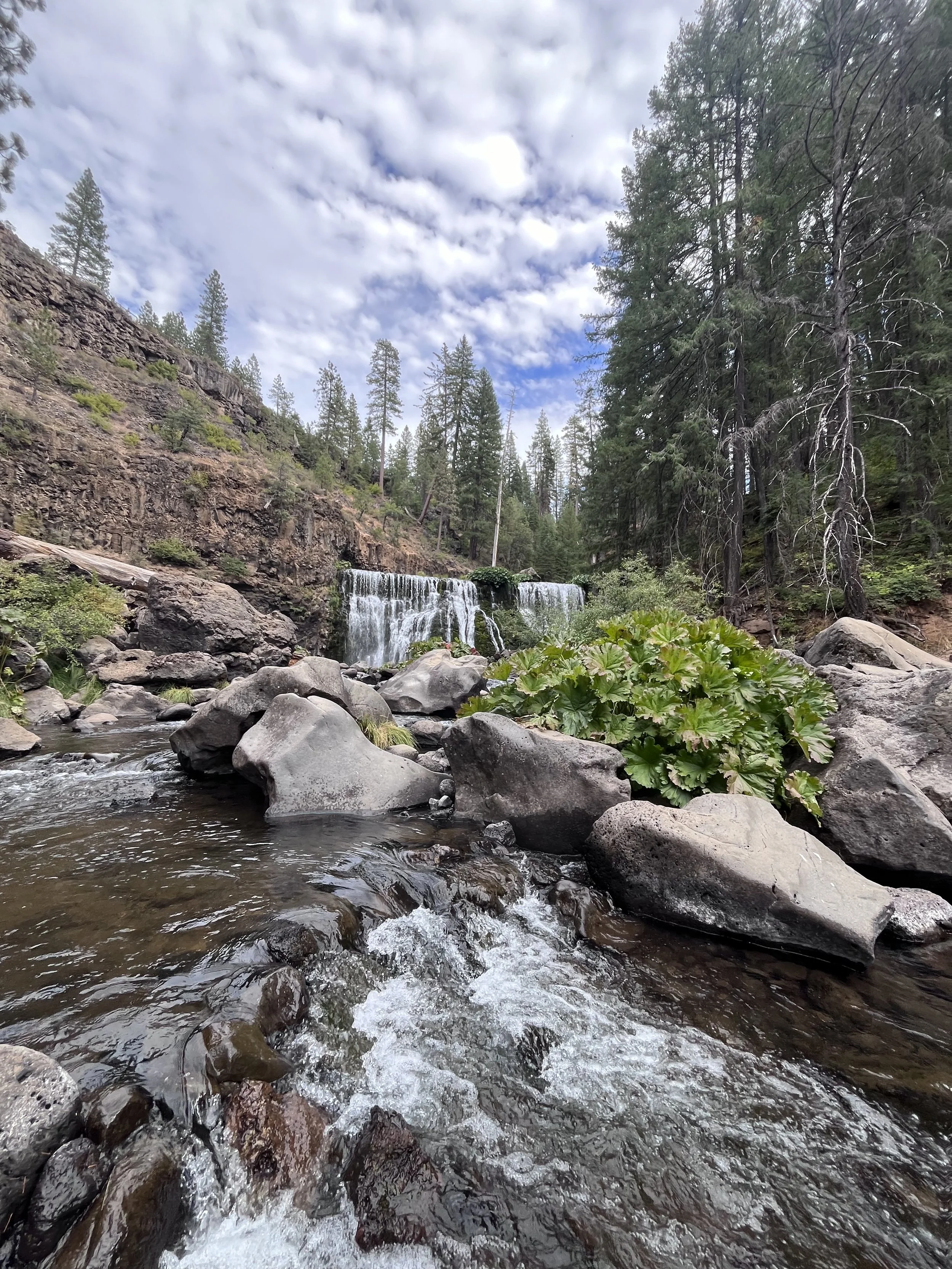 Easy Hikes and Slow Life in Mount Shasta