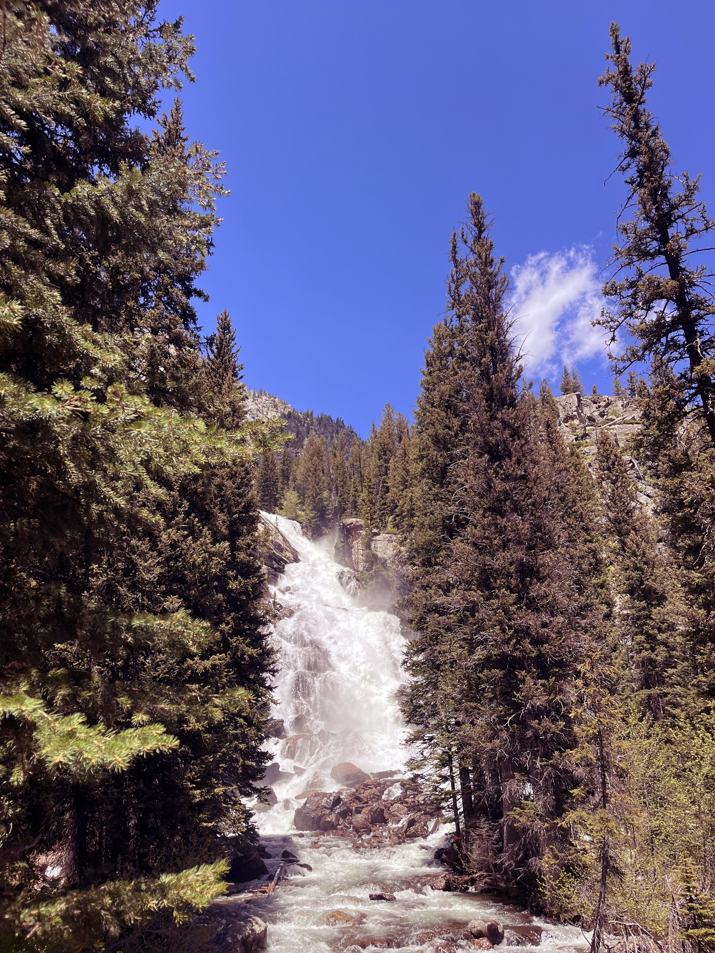 The Hidden Falls in Grand Teton National Park.jpeg