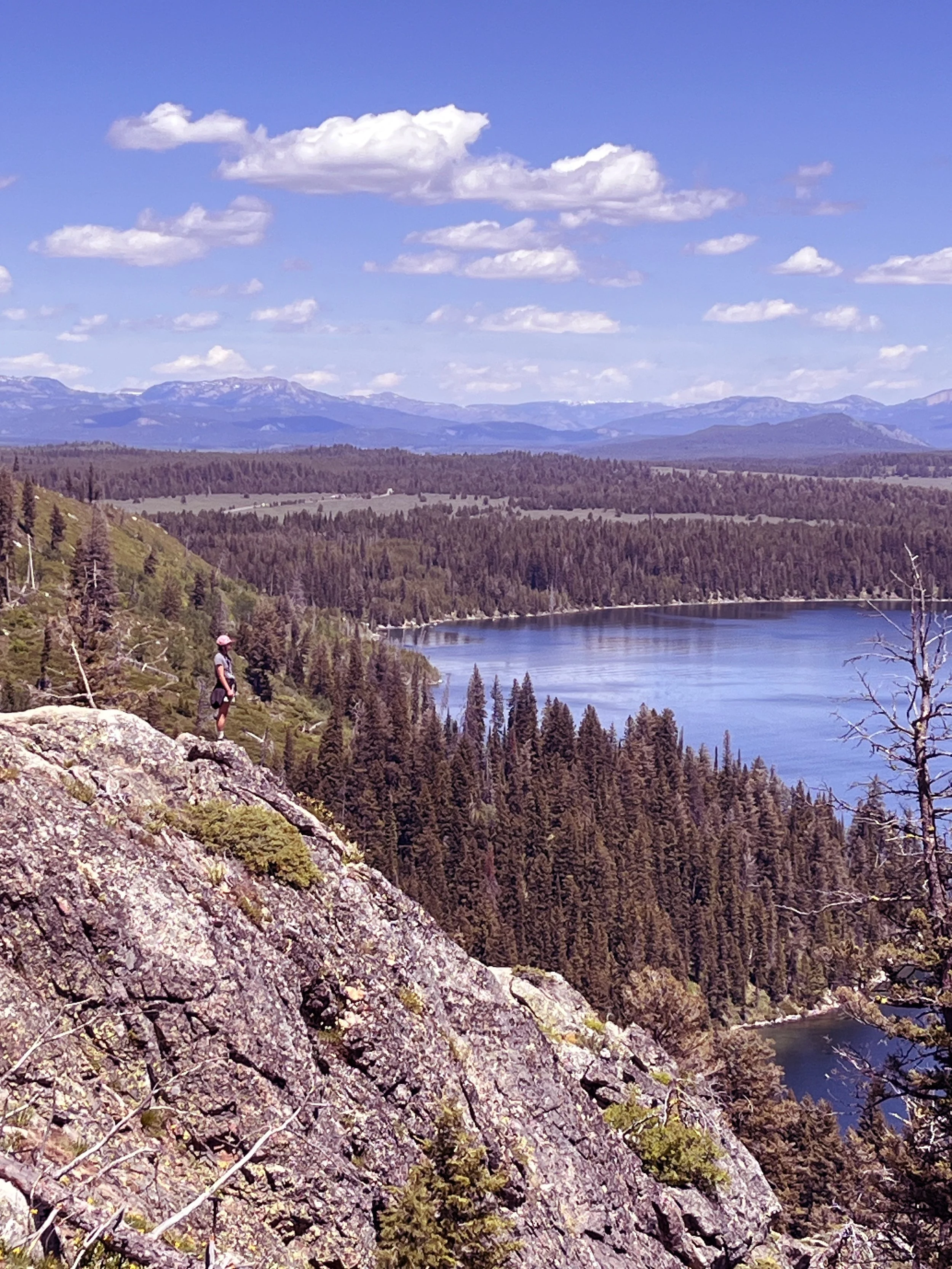 View from Inspiration Point Grand Teton National Park.jpeg