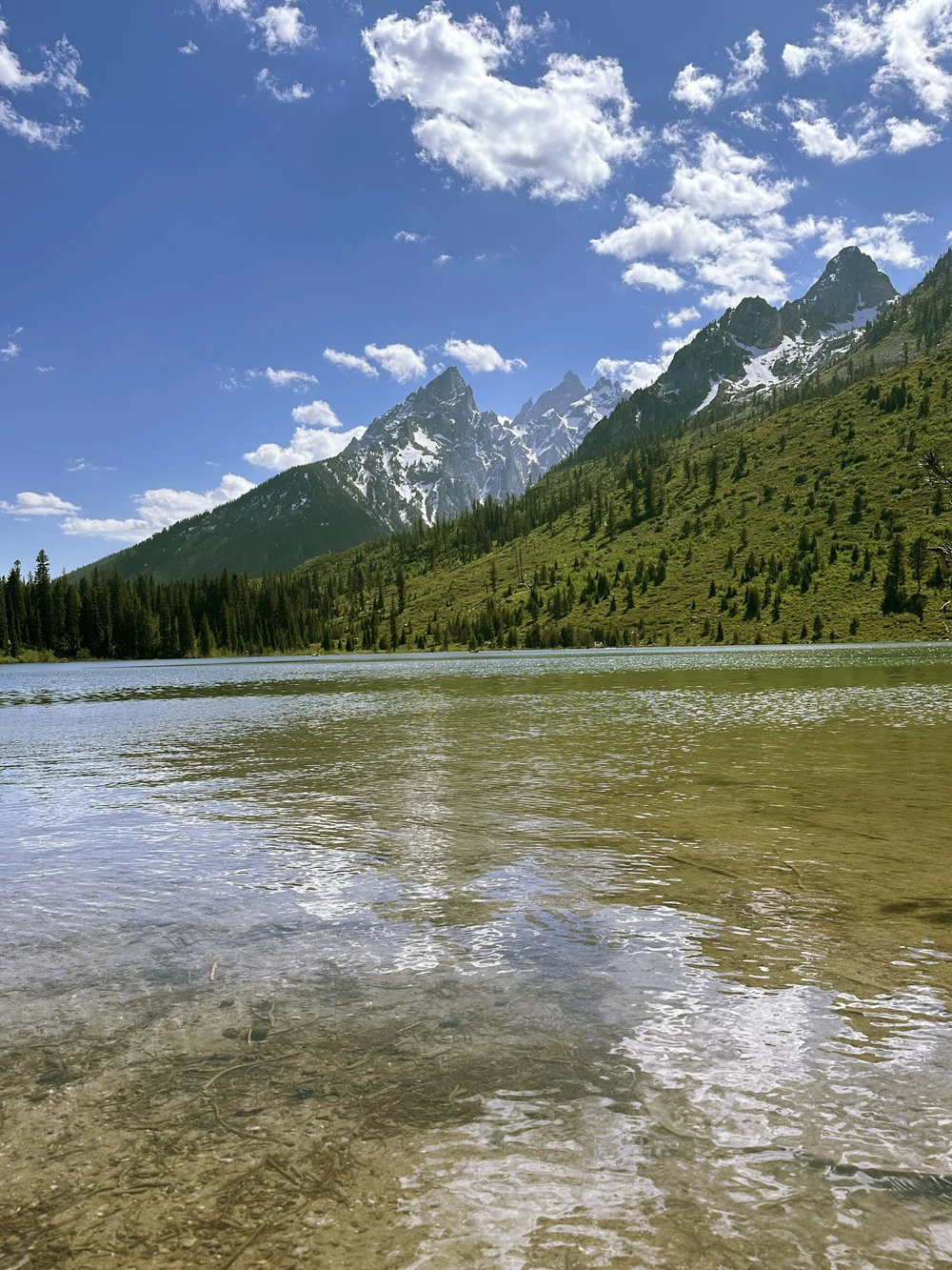 view of the tetons from string lake grand teton national park.jpeg