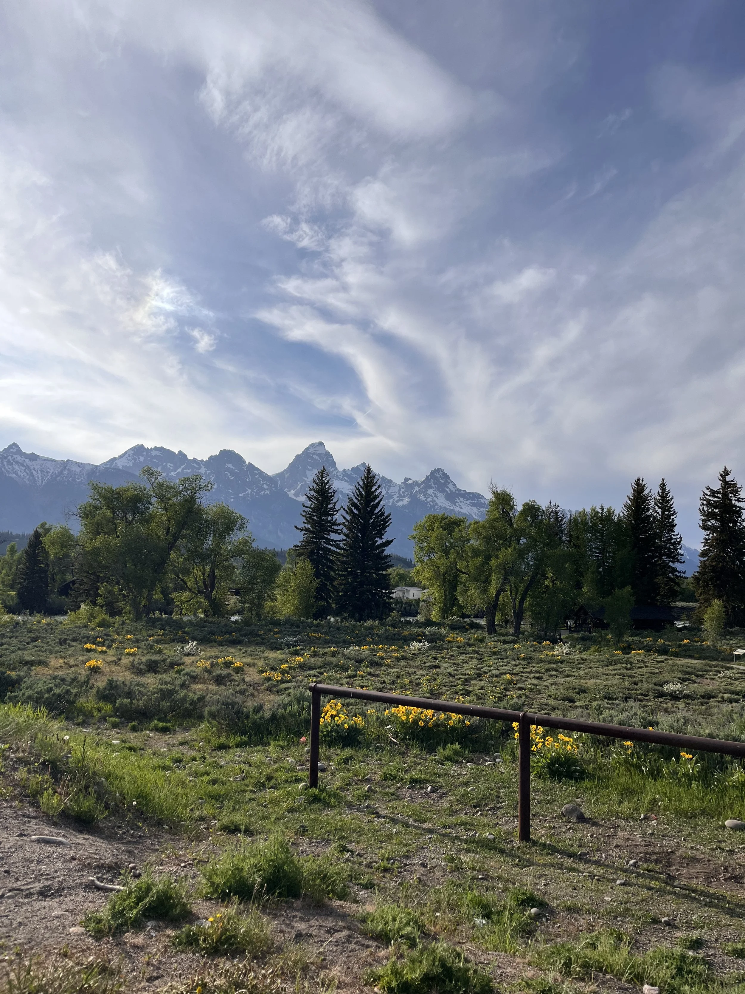 How to Spend the Perfect Day in Jackson, Wyoming