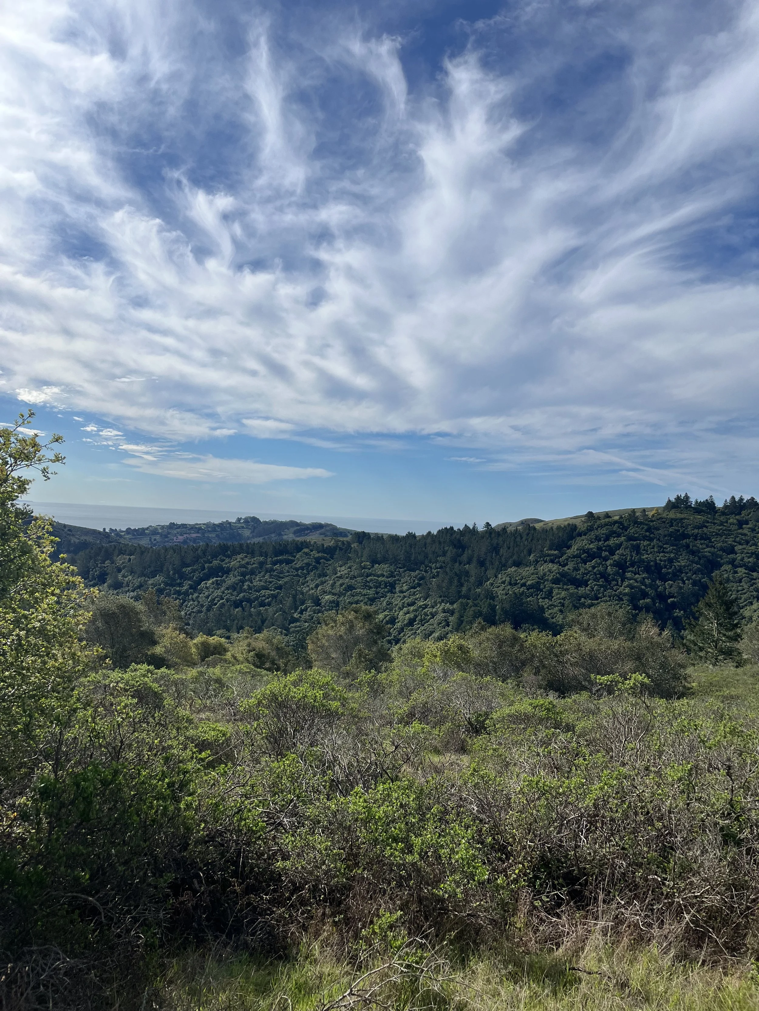 View to the Ocean from the Dipsea Trail.jpeg
