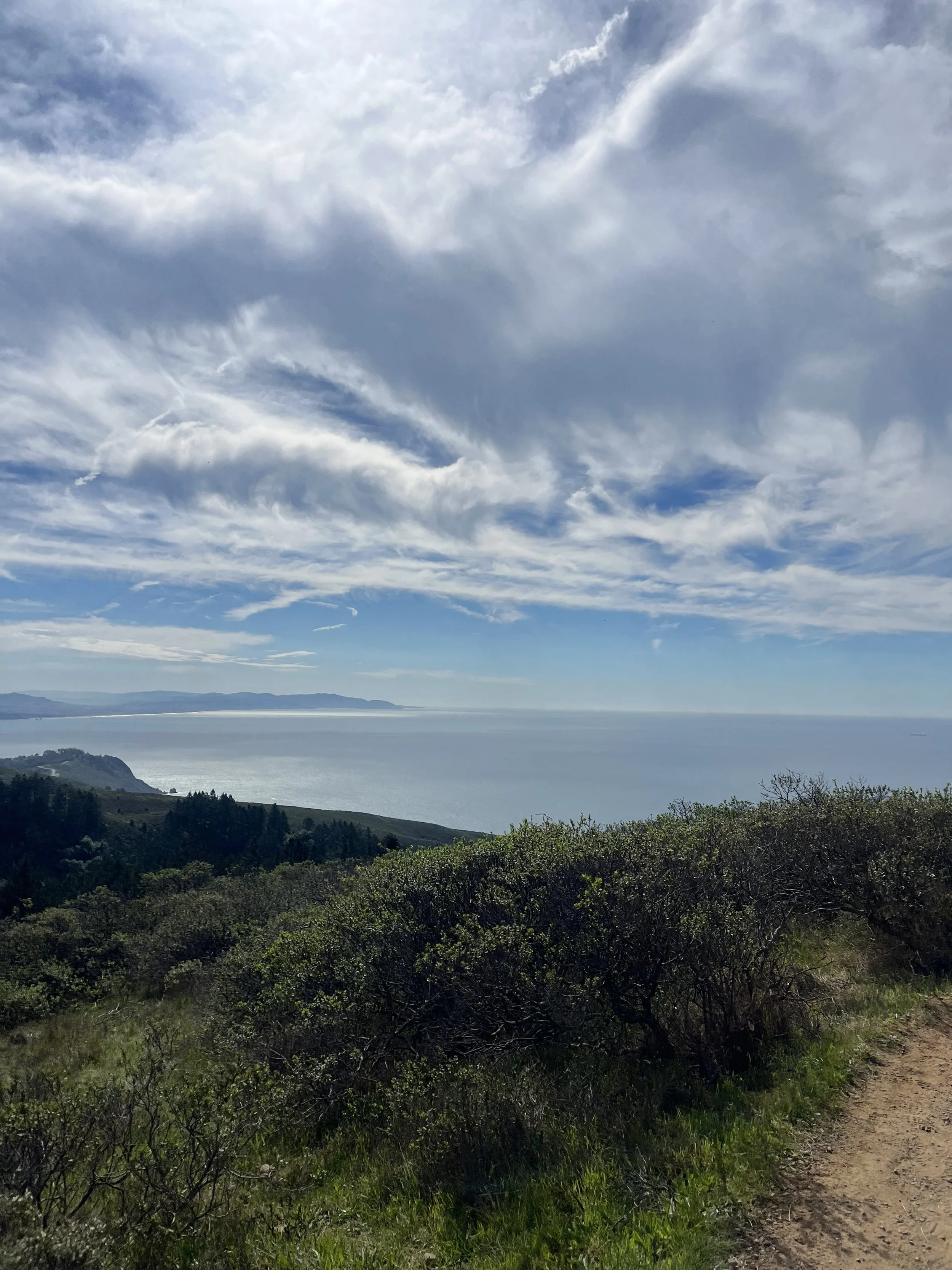 View to the ocean.jpeg