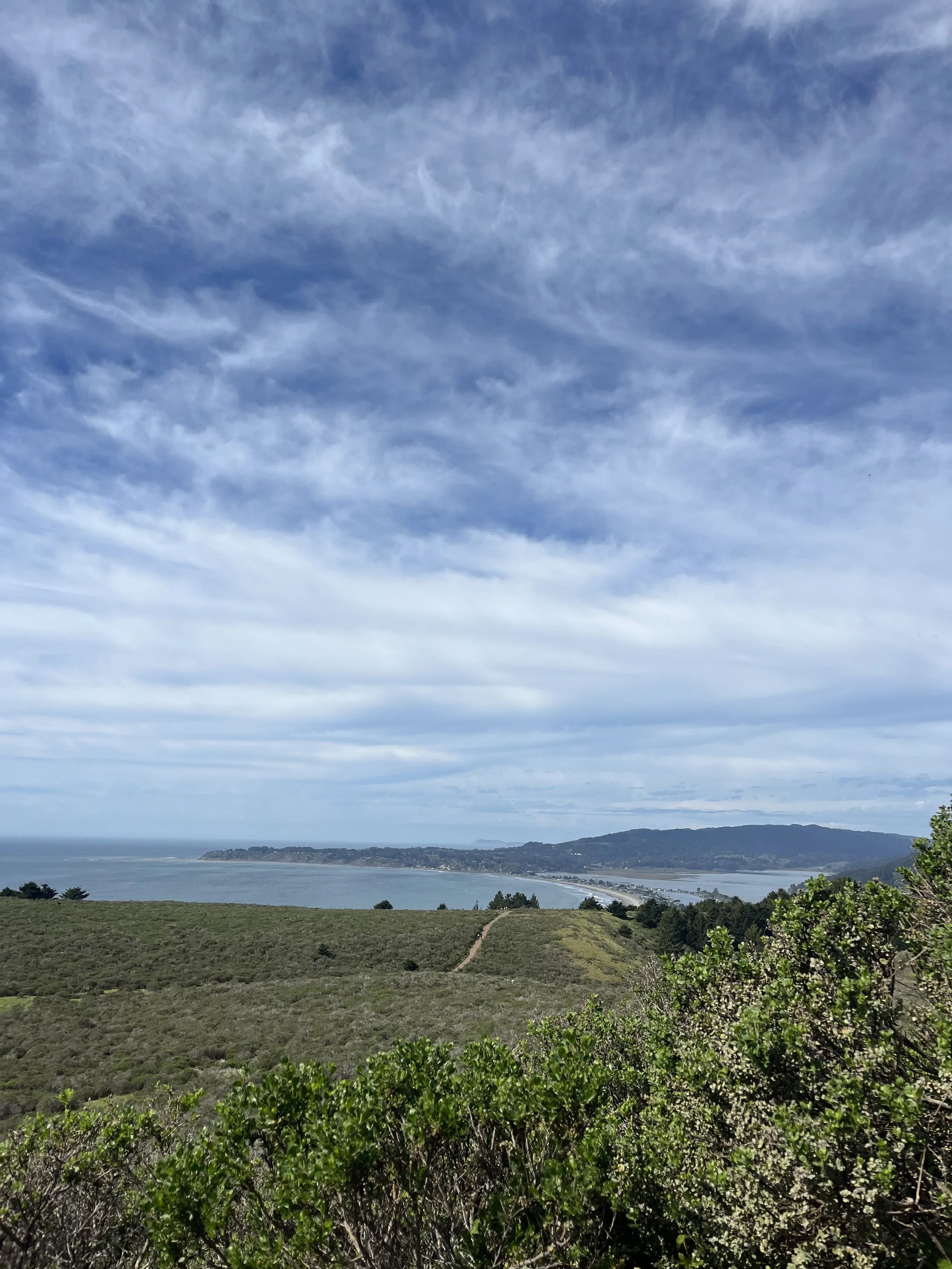 View of Stinson Beach from the top of Dipsea Trail.jpeg