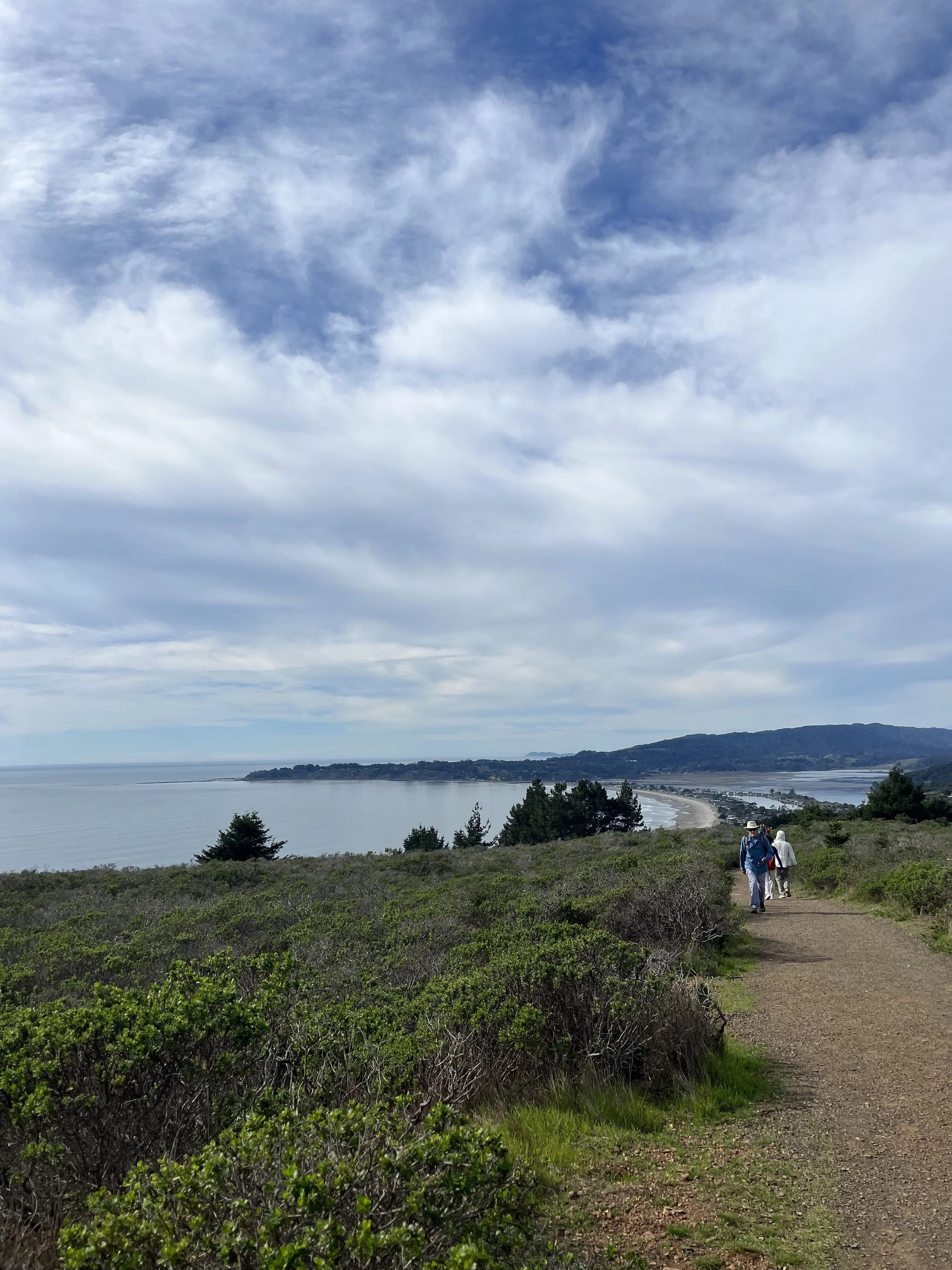 Trail back up from Stinson Beach on the Dipsea Trail.jpeg