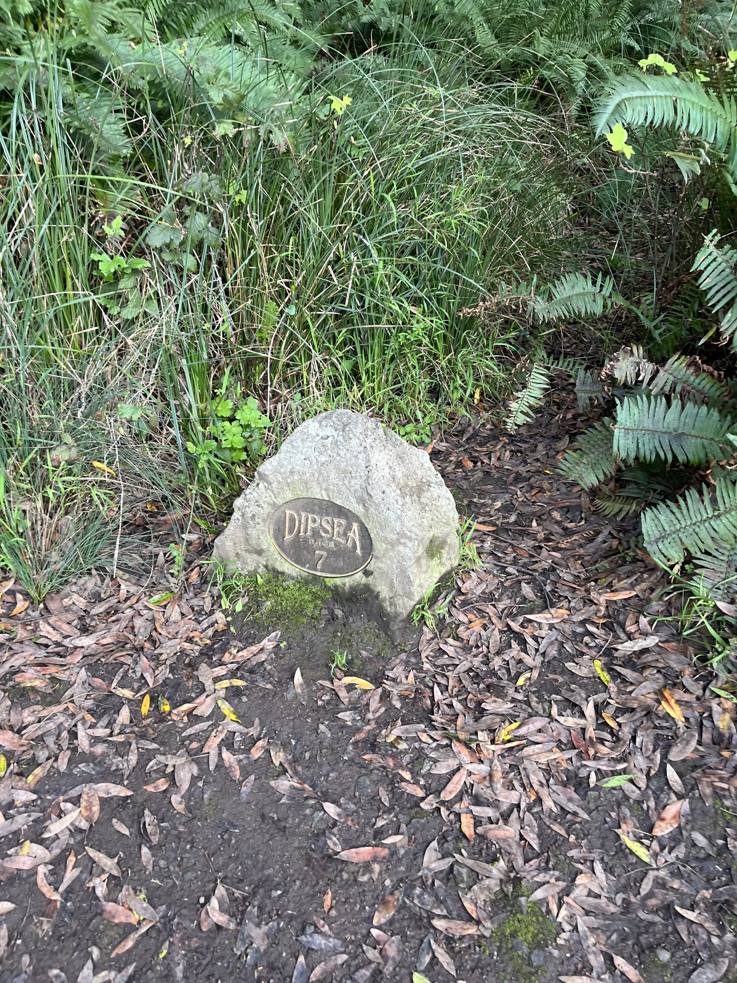 Dipsea Trail Sign.jpeg