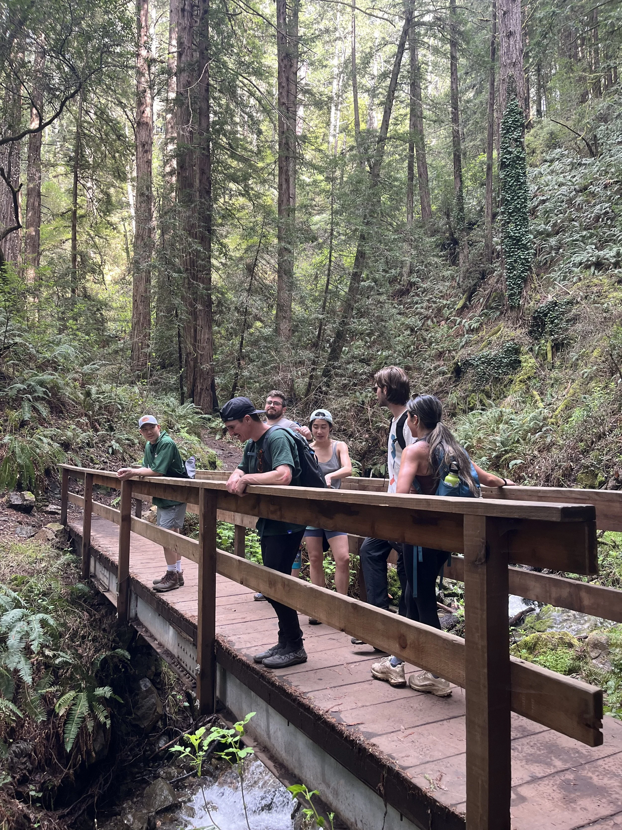 Standing on a bridge Dipsea Trail.jpeg