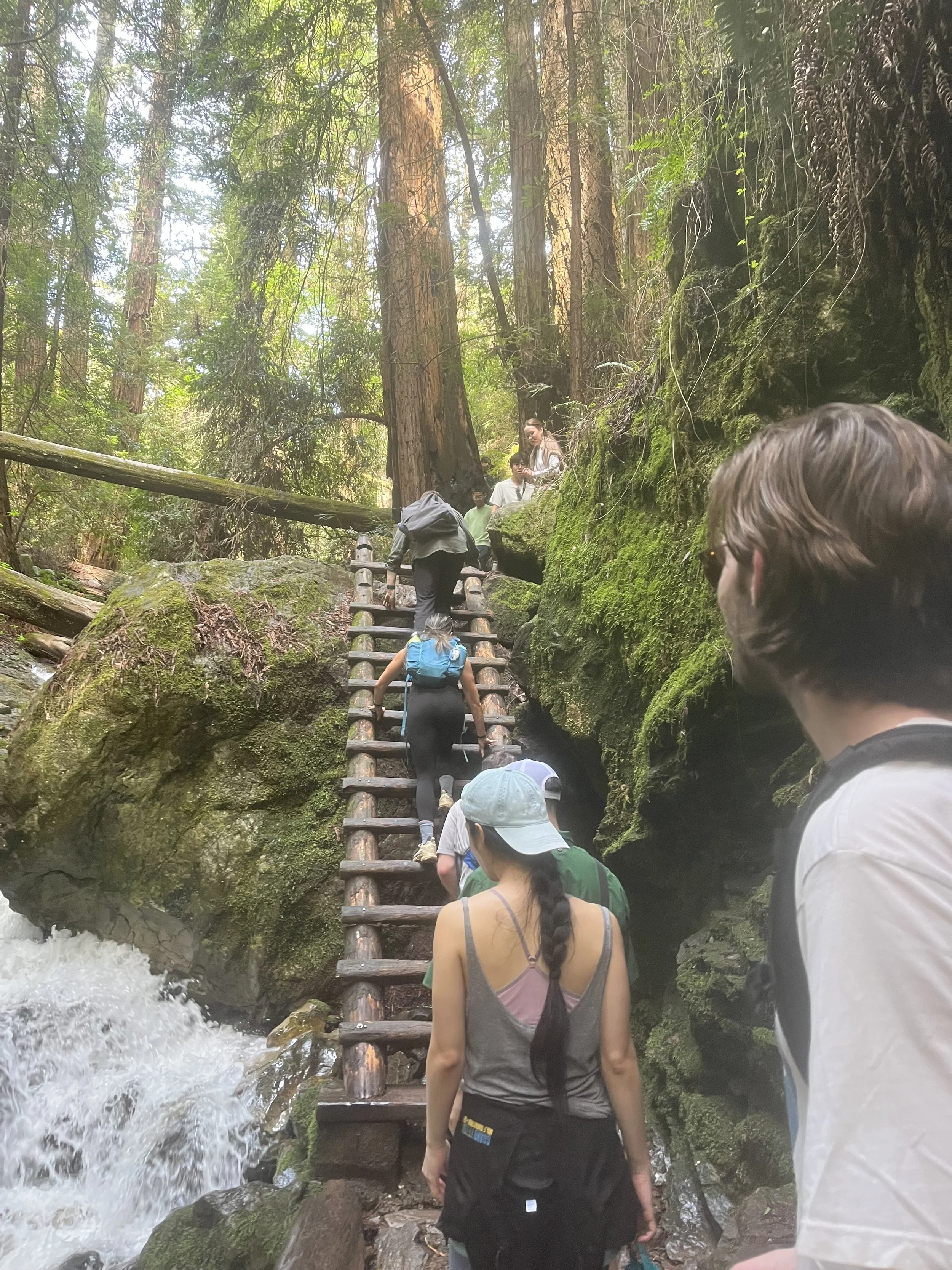 Hiking the Dipsea Trail: Muir Woods to Stinson Beach
