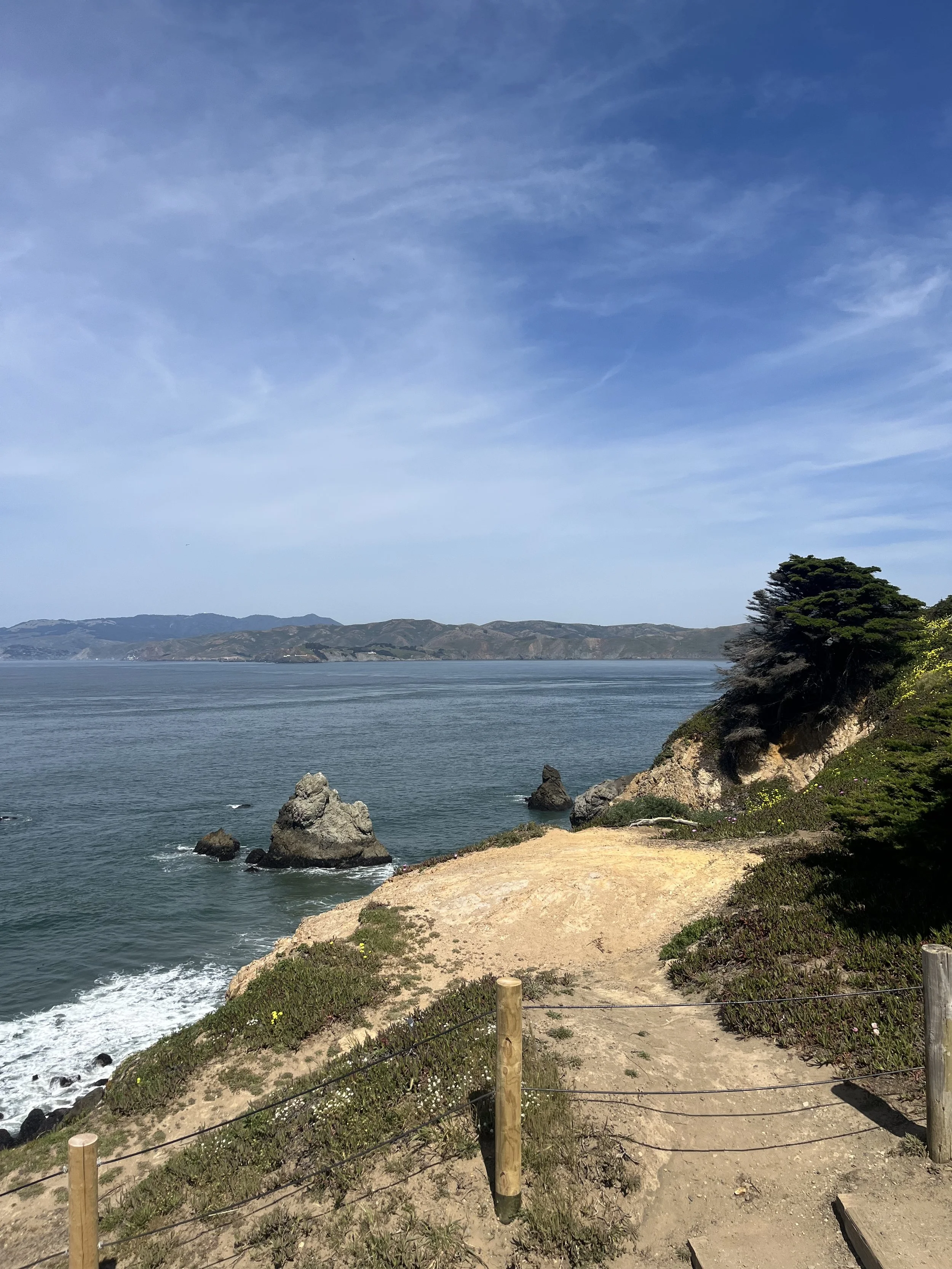 View of the San Francisco Bay from Lands End.jpeg