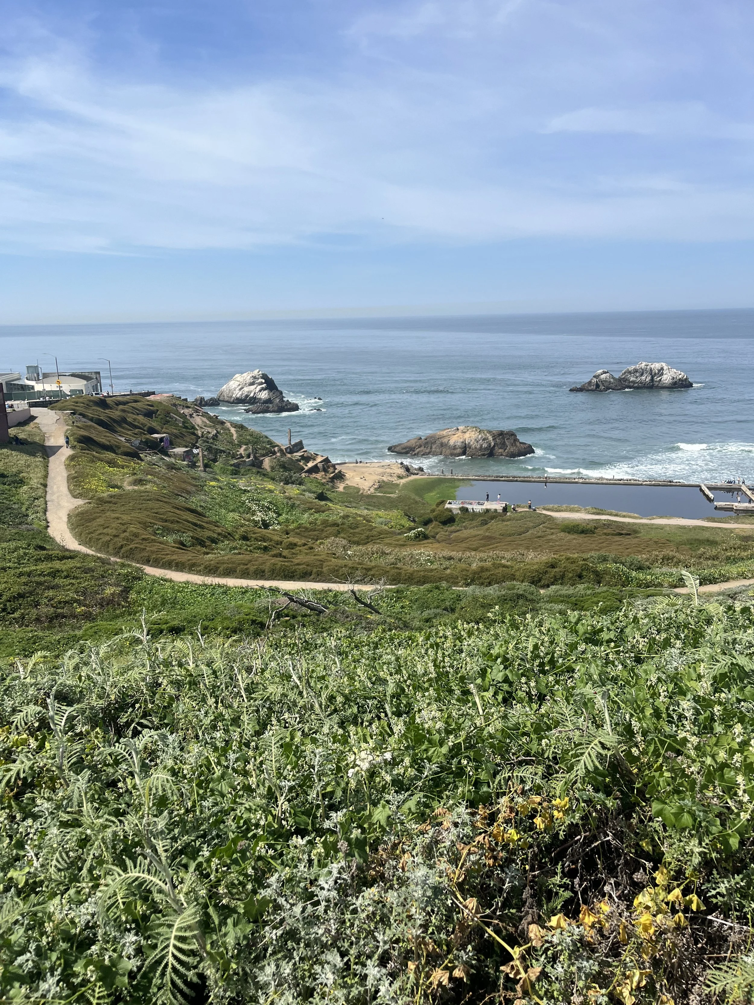 A View of Sutro Baths from Above in San Francisco.jpeg