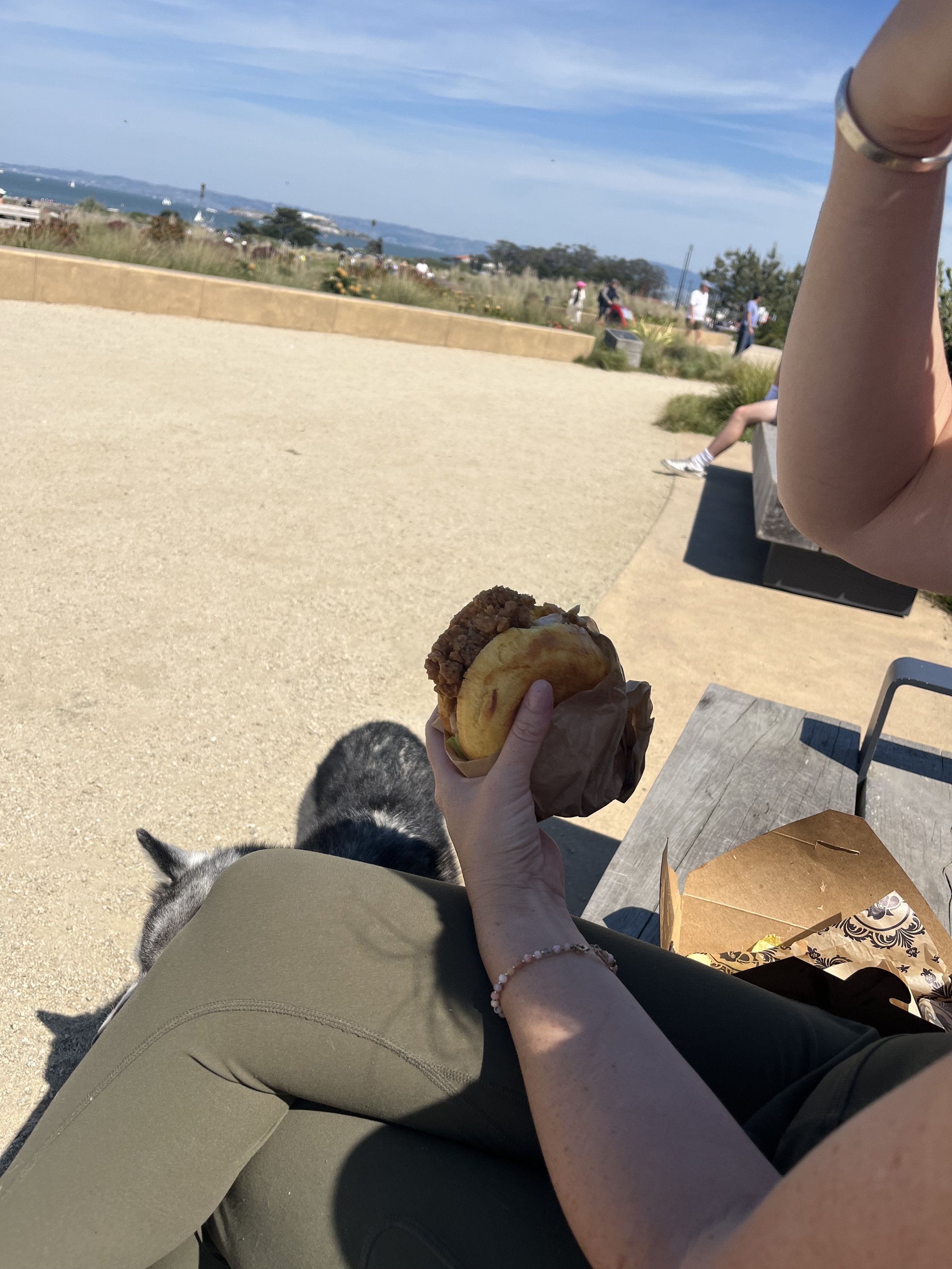 Chicken Burger and San Francisco Views.jpeg