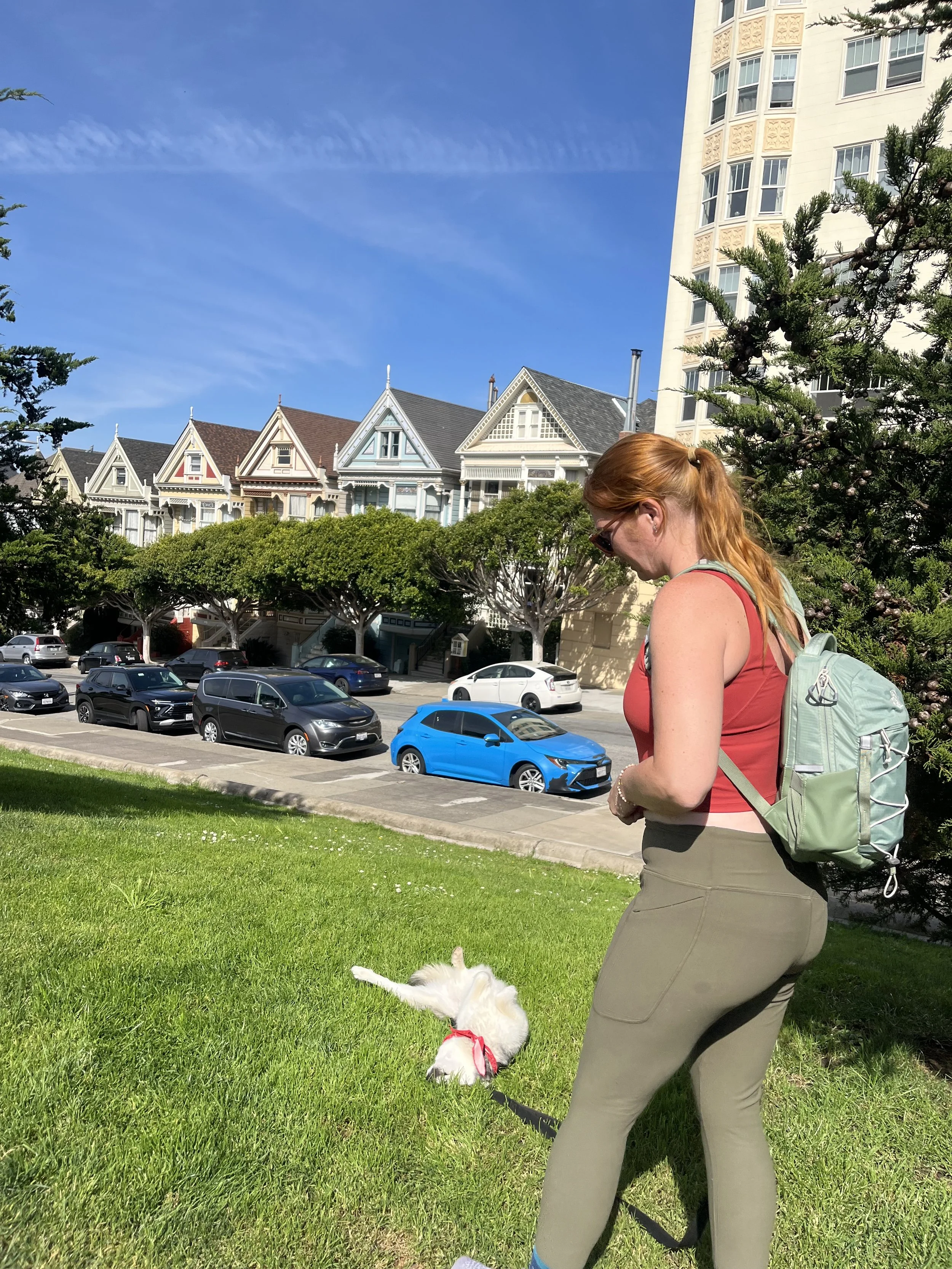 Puppy rolling in the grass in front of the Painted Ladies in San Francisco.jpeg