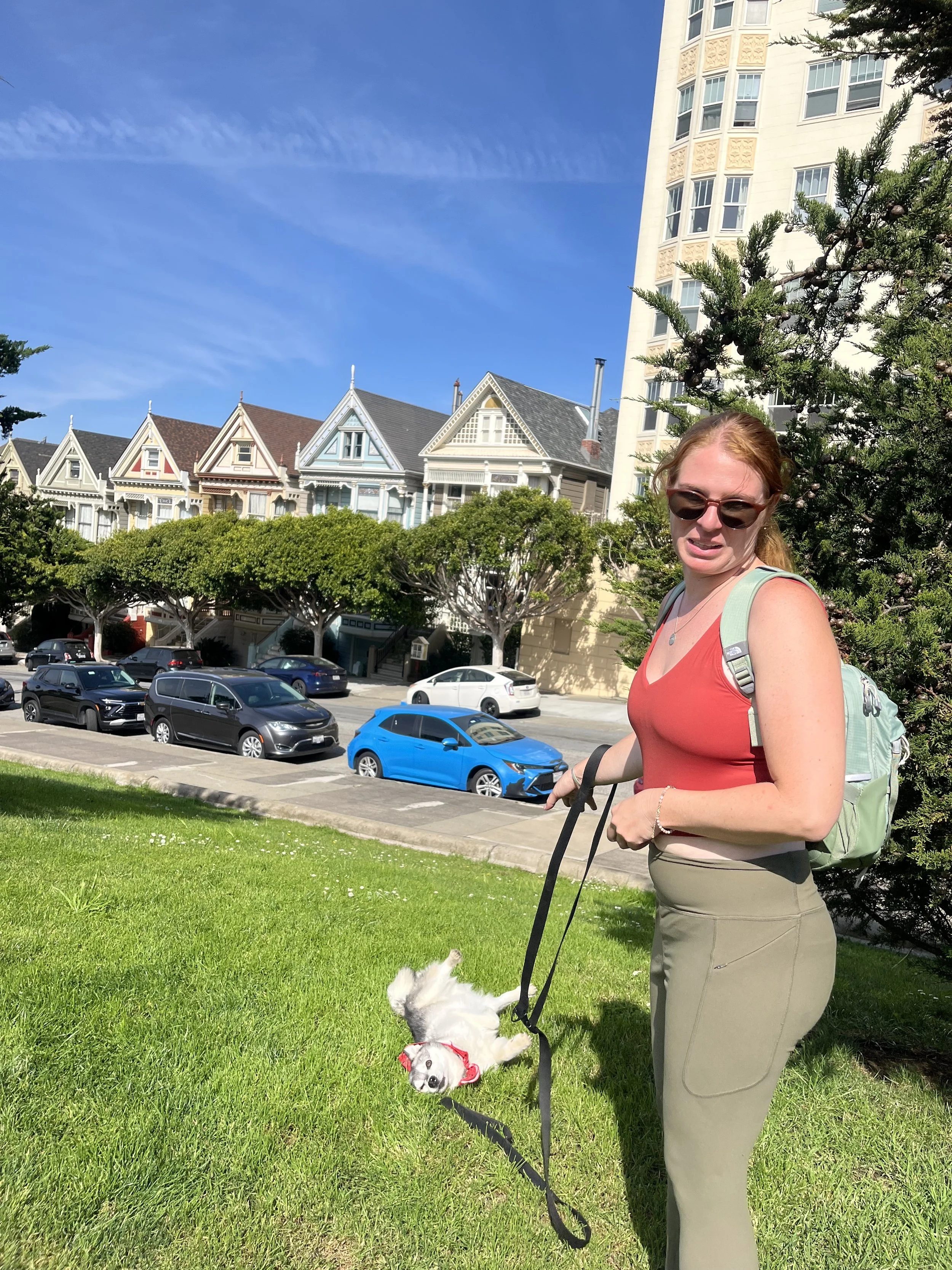 Giving up on trying to get a good pic of the pup in Alamo Square.jpeg
