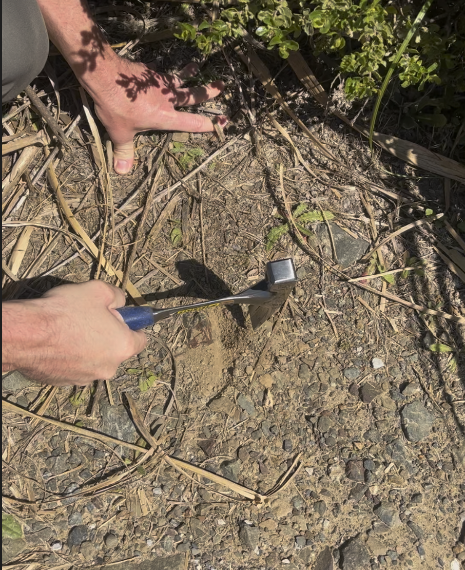 carefully digging up rocks while rock hounding in Pacifica.png
