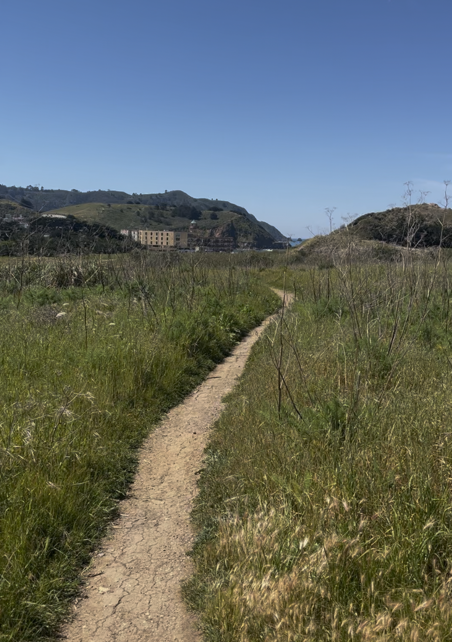 the Pacifica Quarry Running Trail toward Rockaway Beach .png