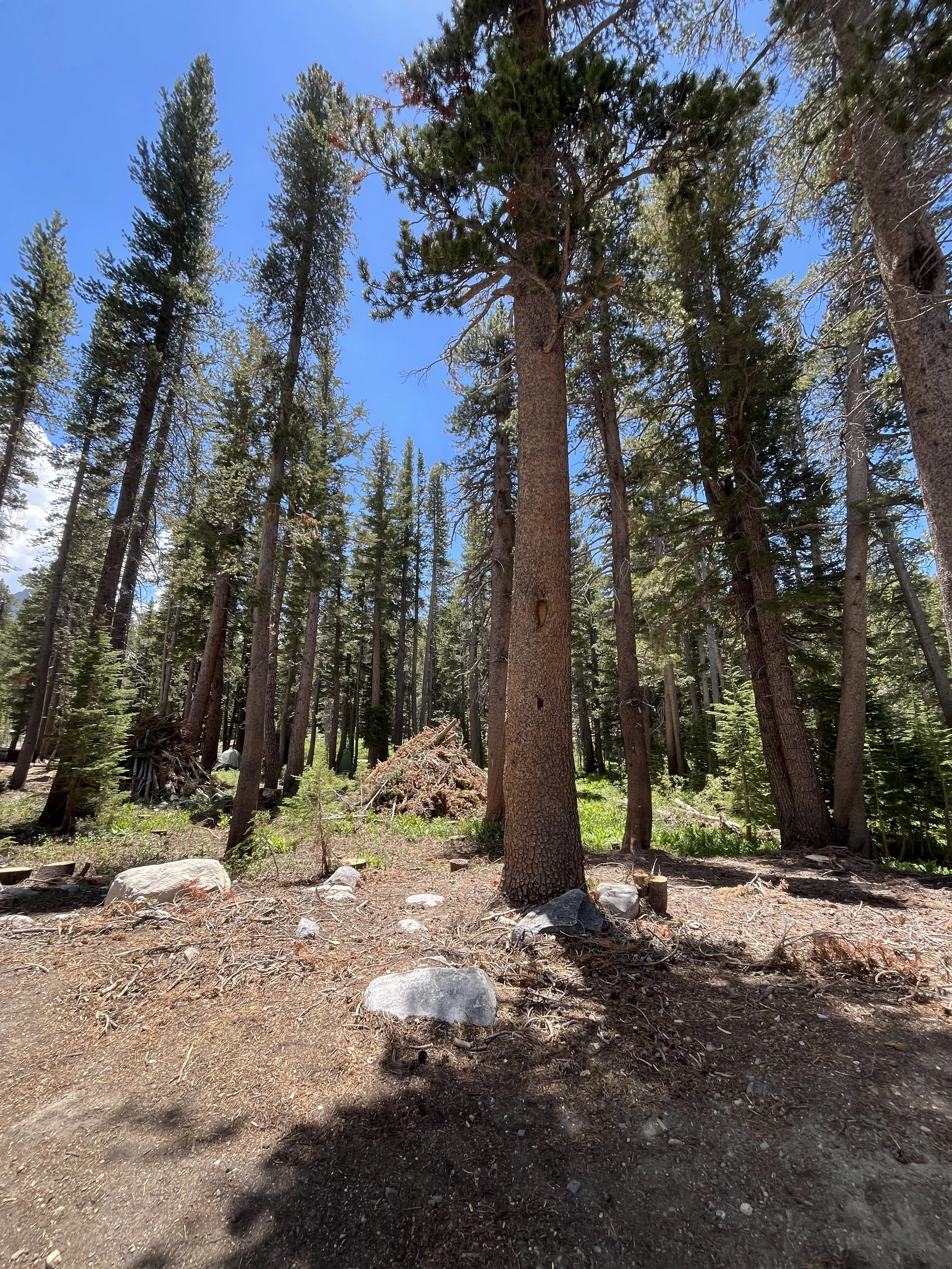 Duck Pass and Pika Lake Trail Mammoth California.jpeg