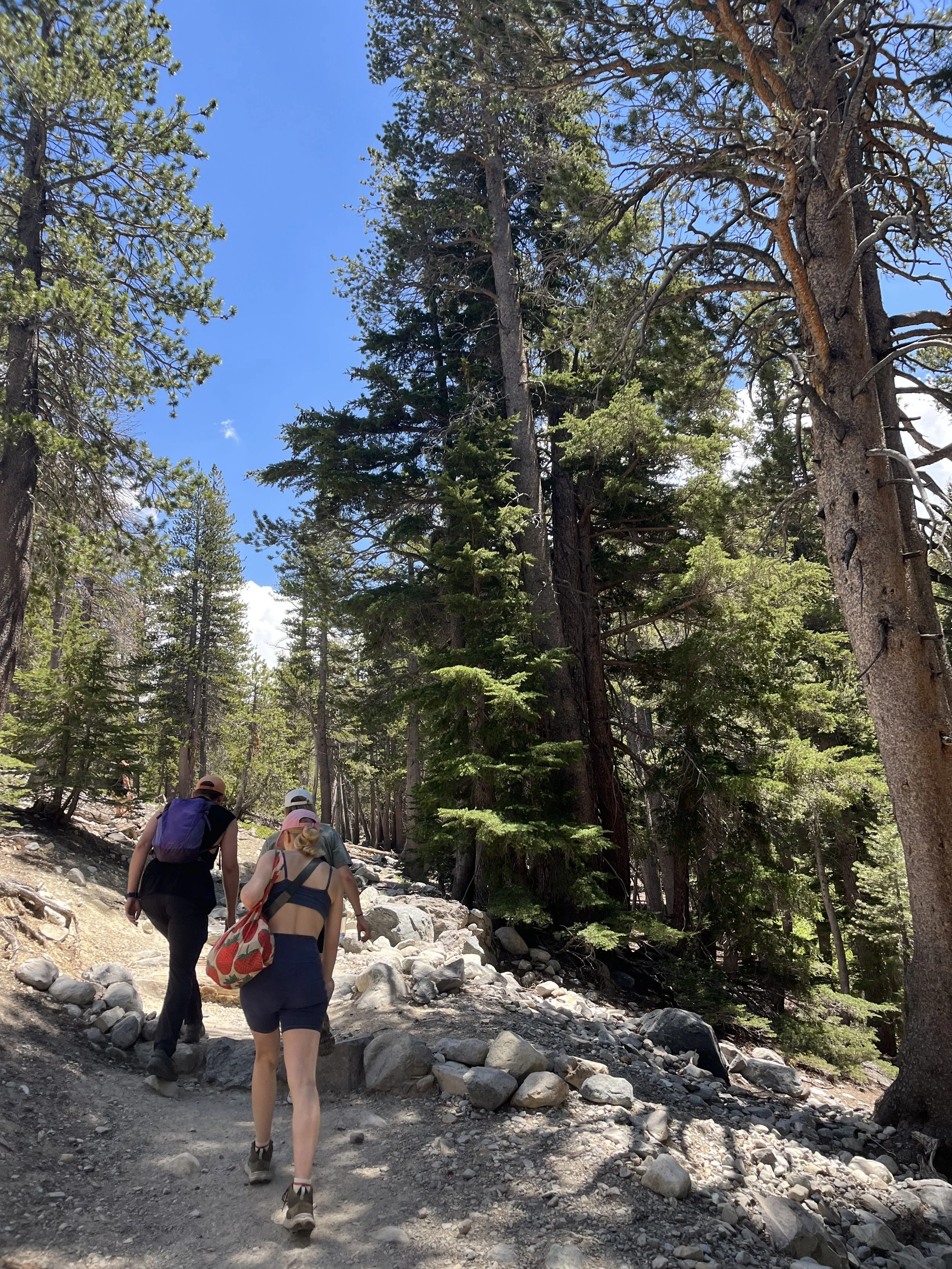 Hiking up Duck Pass Trail to Arrowhead Lake.jpeg