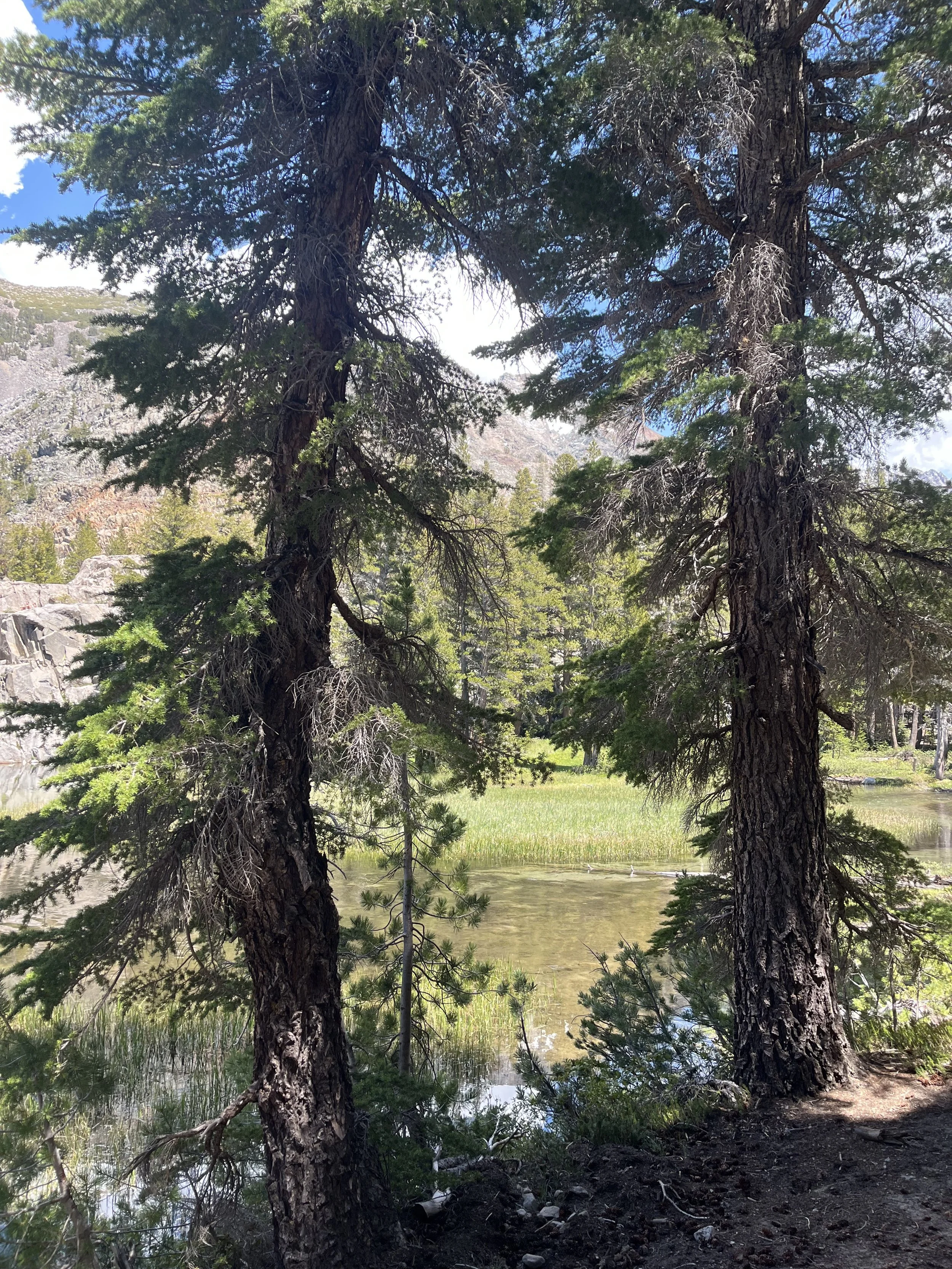 Arriving at the Shore of Arrowhead Lake, Mammoth Califronia.jpeg
