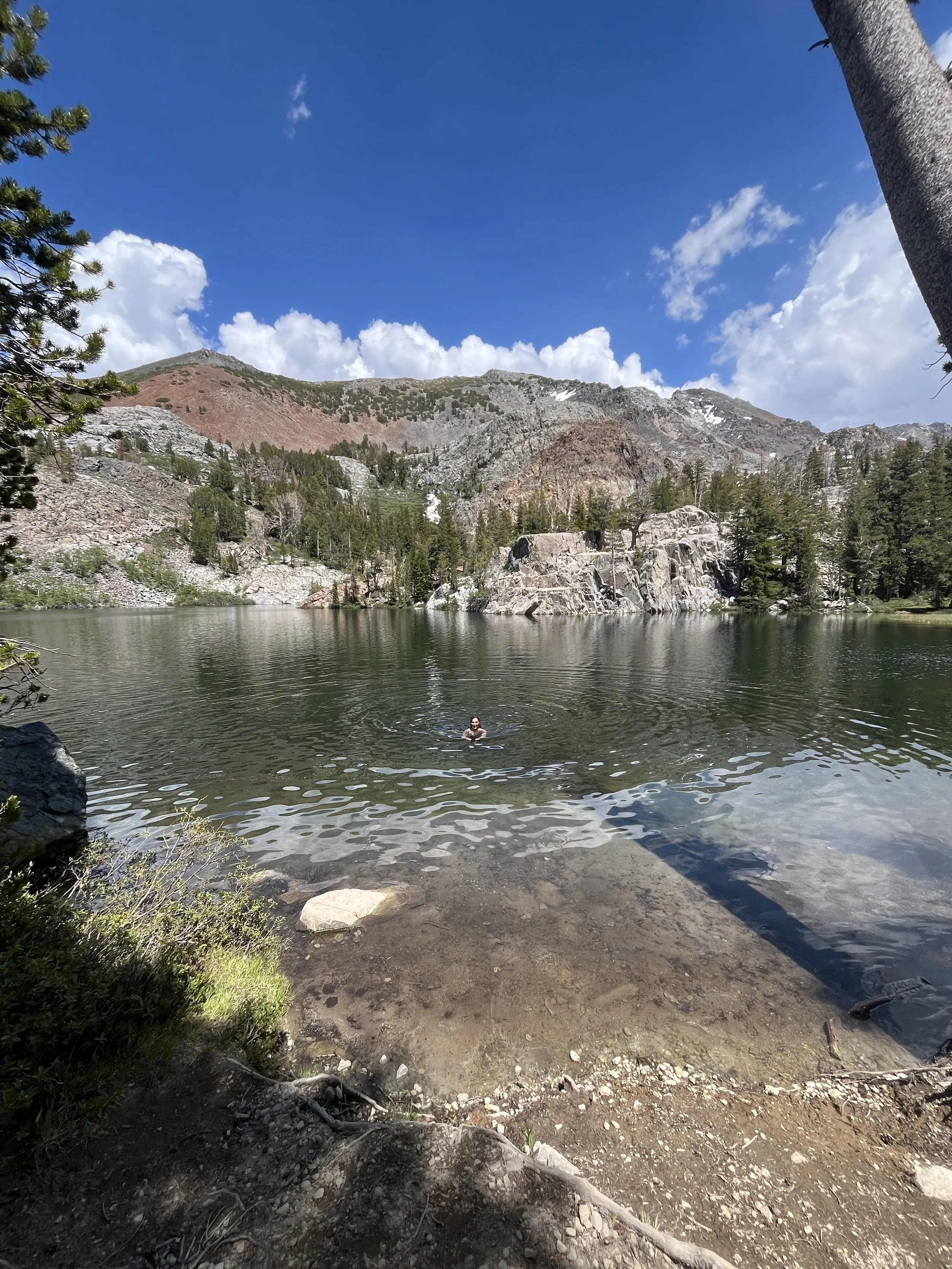 Swimming in Arrowhead Lake Mammoth California.jpeg