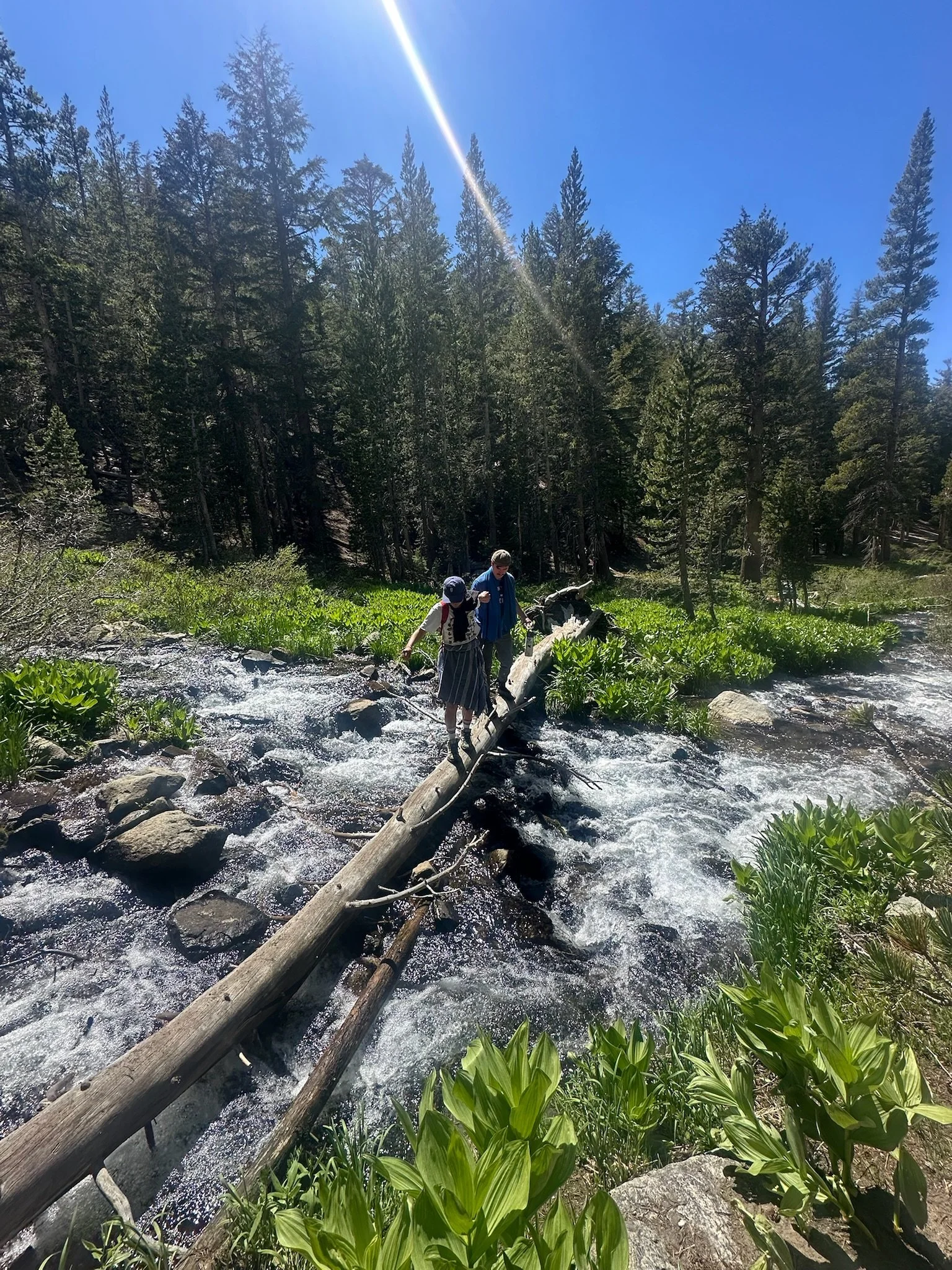 holding hands for balance while crossing a log.jpeg