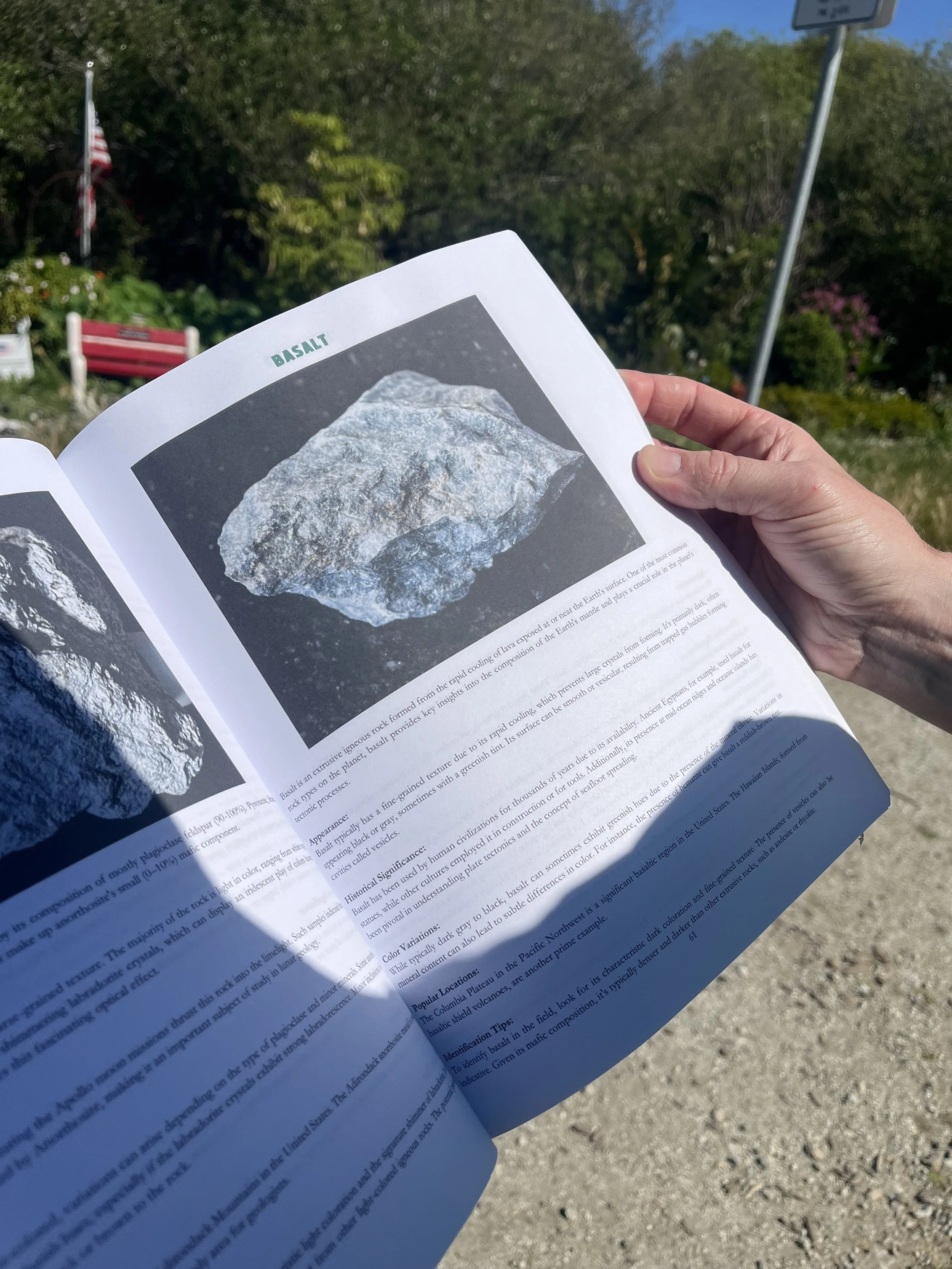 Rock Hounding Book in Pacifica