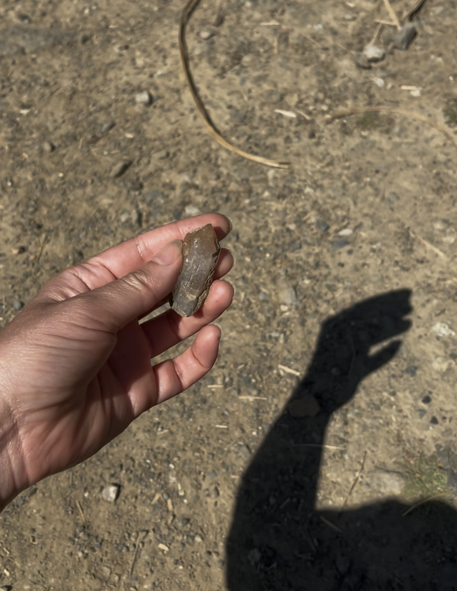 A Crystal on the Pacifica Quarry Running Trail