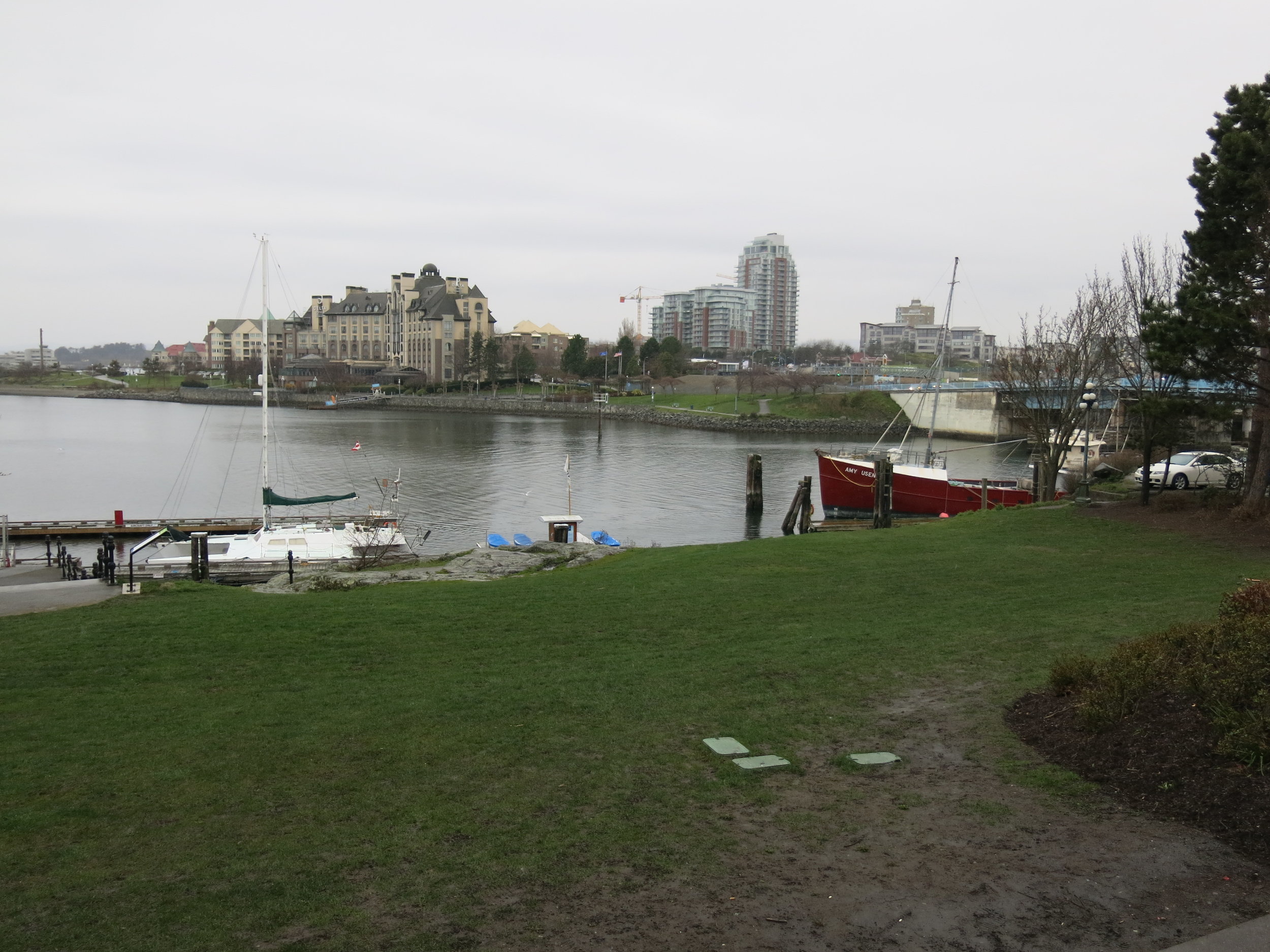 Reeson Park, a.ka. the Whale Wall.
