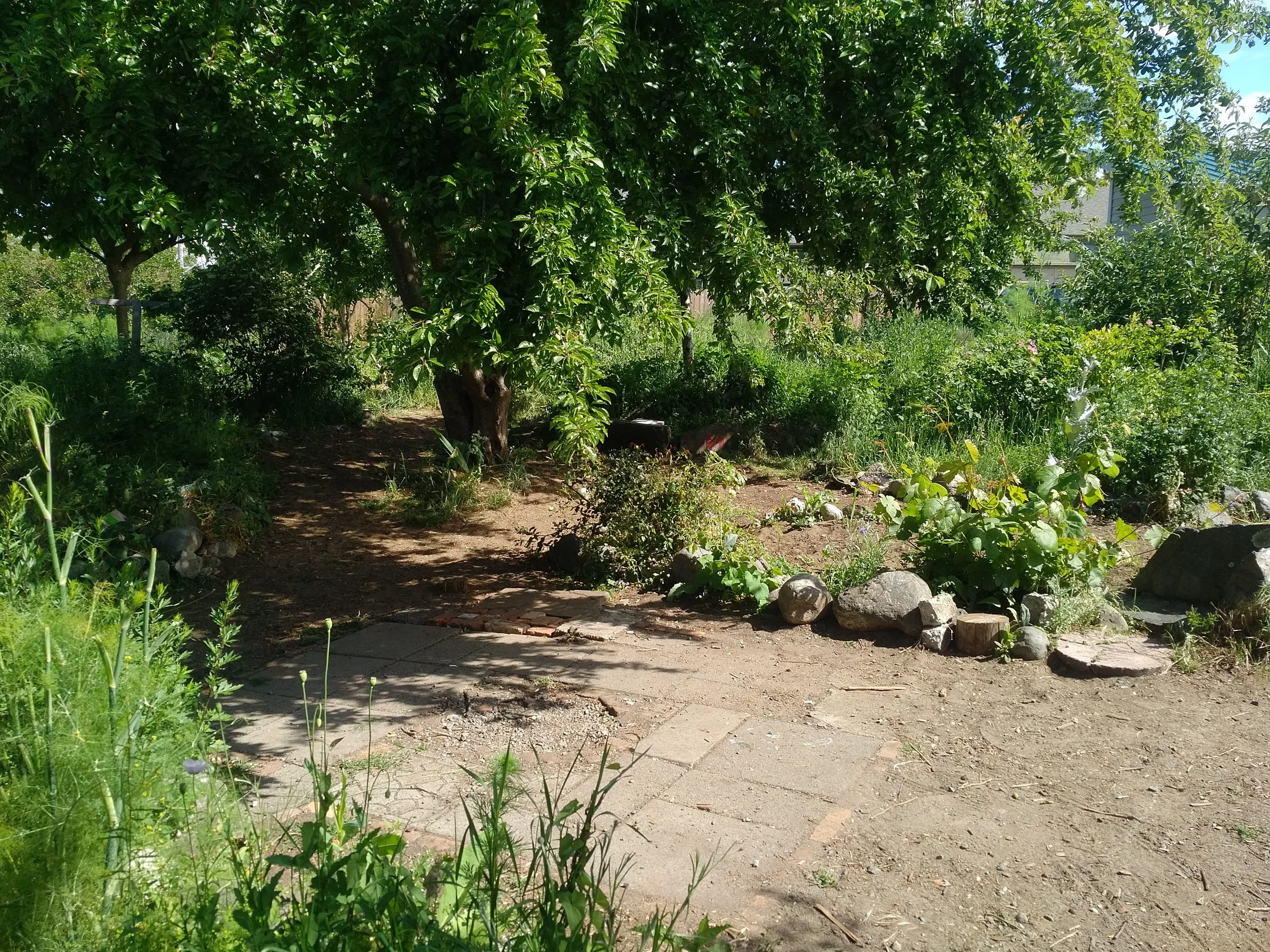 Spring Ridge Commons, cleared of furniture. Photo taken June 8, 2019.